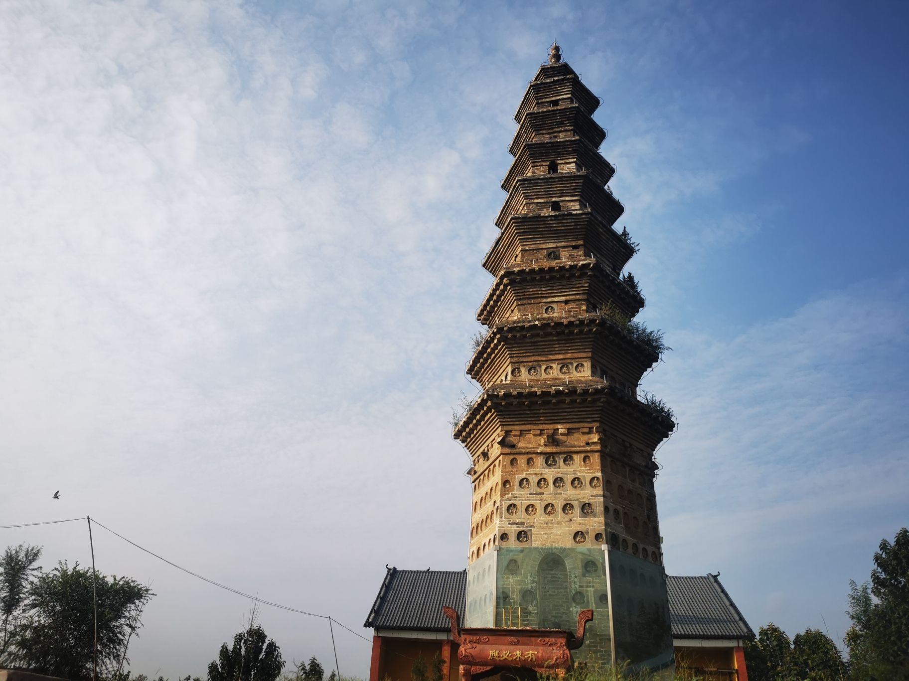 圣寿寺塔旅行图片 1