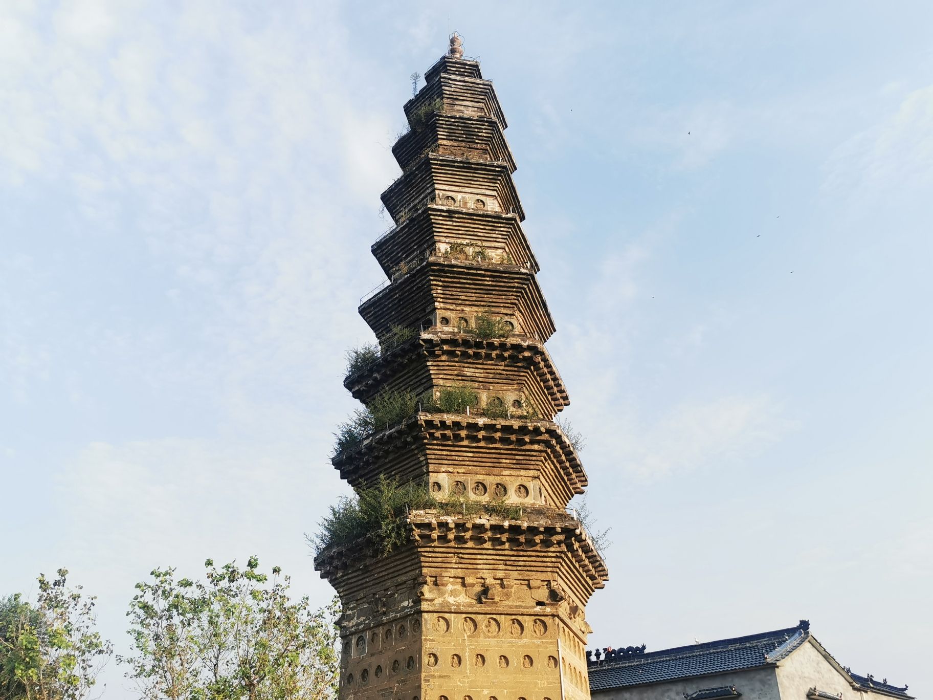 圣寿寺塔旅行图片 3