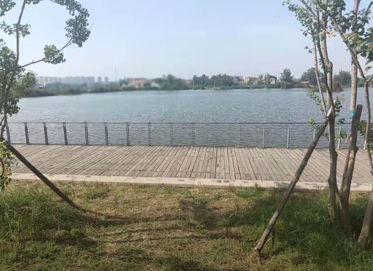 天龙湖公园旅行图片 1