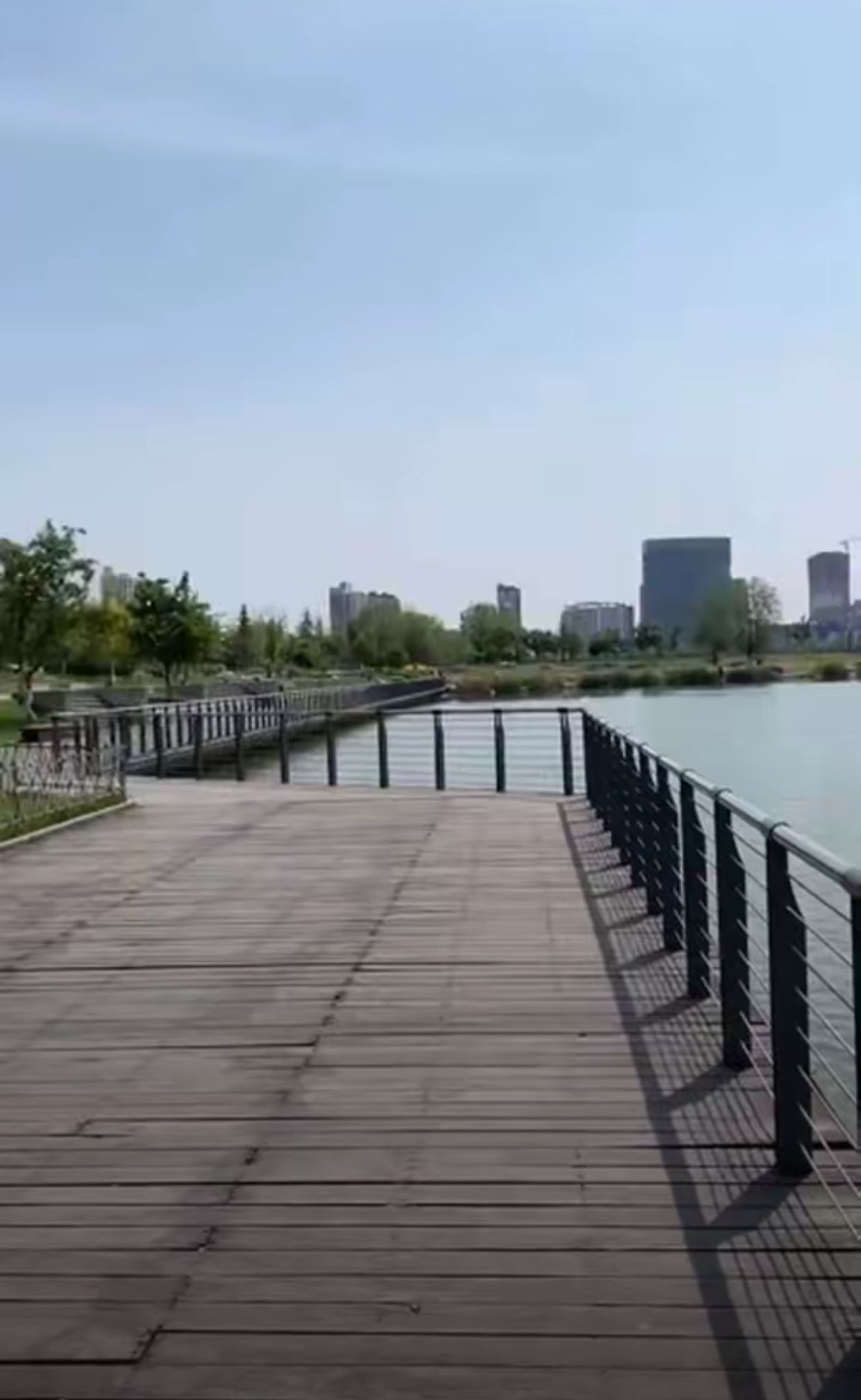 天龙湖公园旅行图片 3