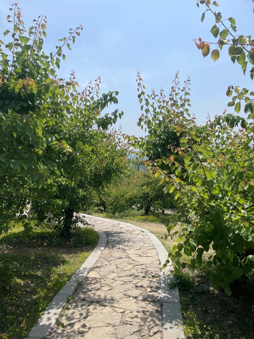 芒砀山旅游区旅行图片 3