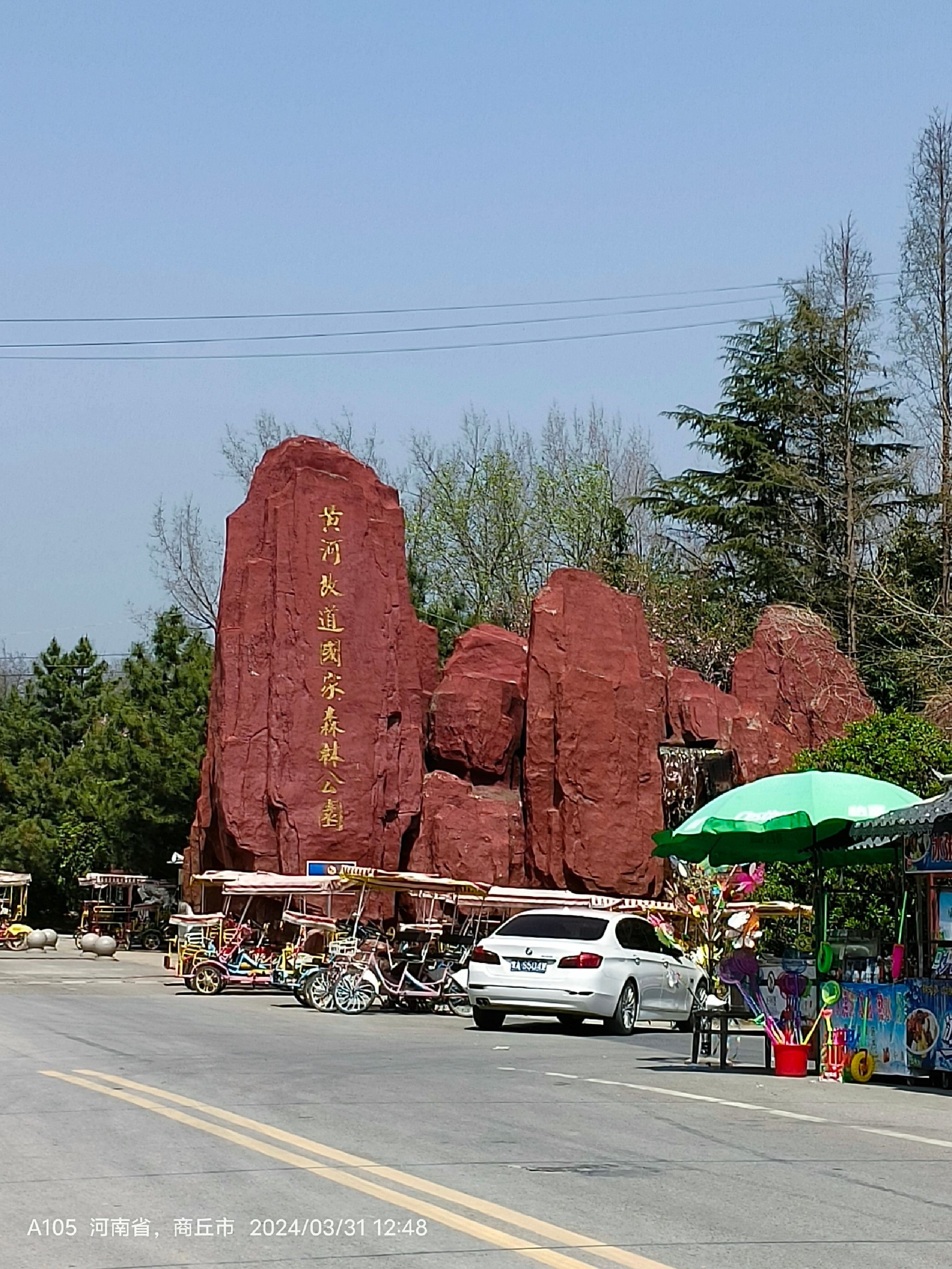 商丘黄河故道国家森林公园旅行图片 1