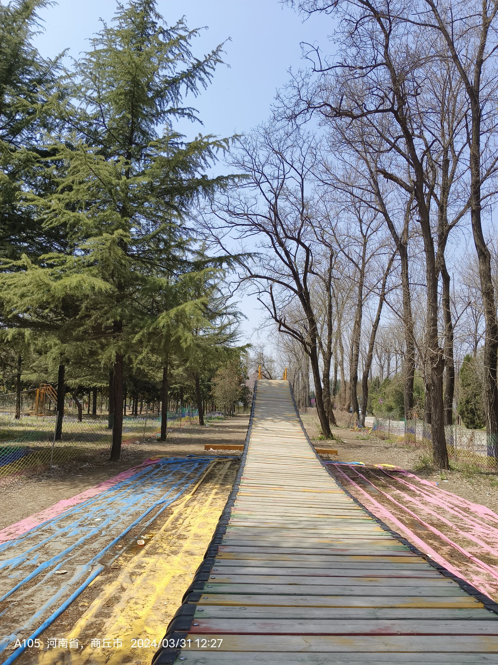 商丘黄河故道国家森林公园旅行图片 2