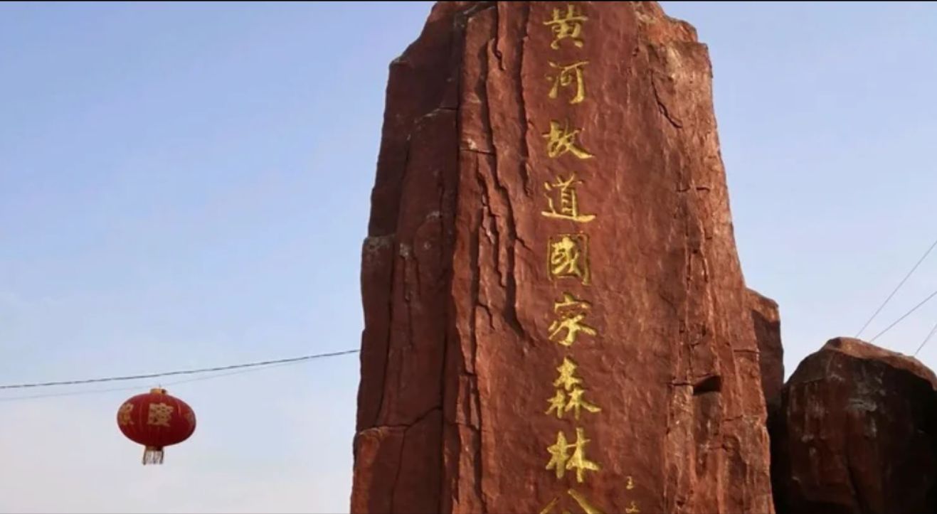 商丘黄河故道国家森林公园旅行图片 1