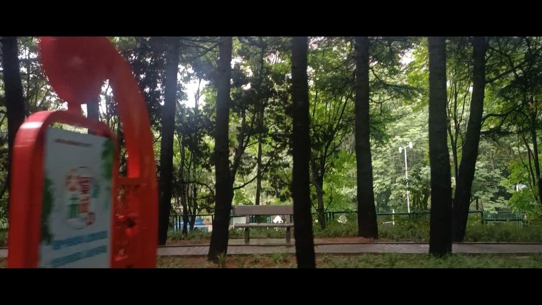 沱河风景带旅行图片 2