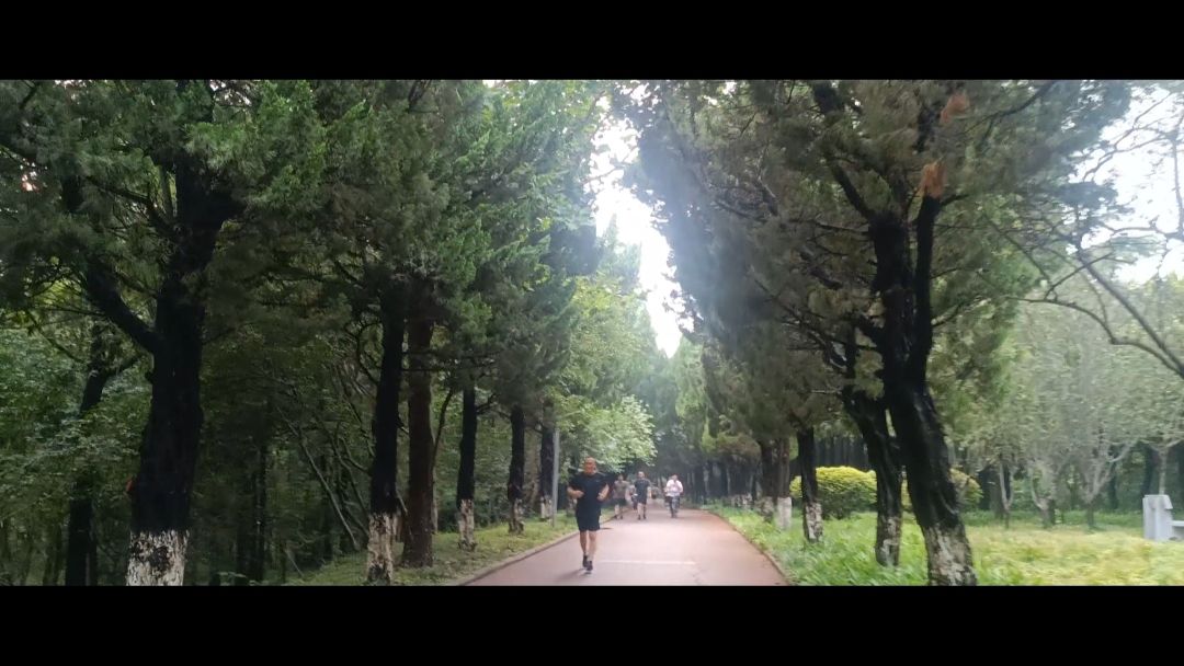 沱河风景带旅行图片 3