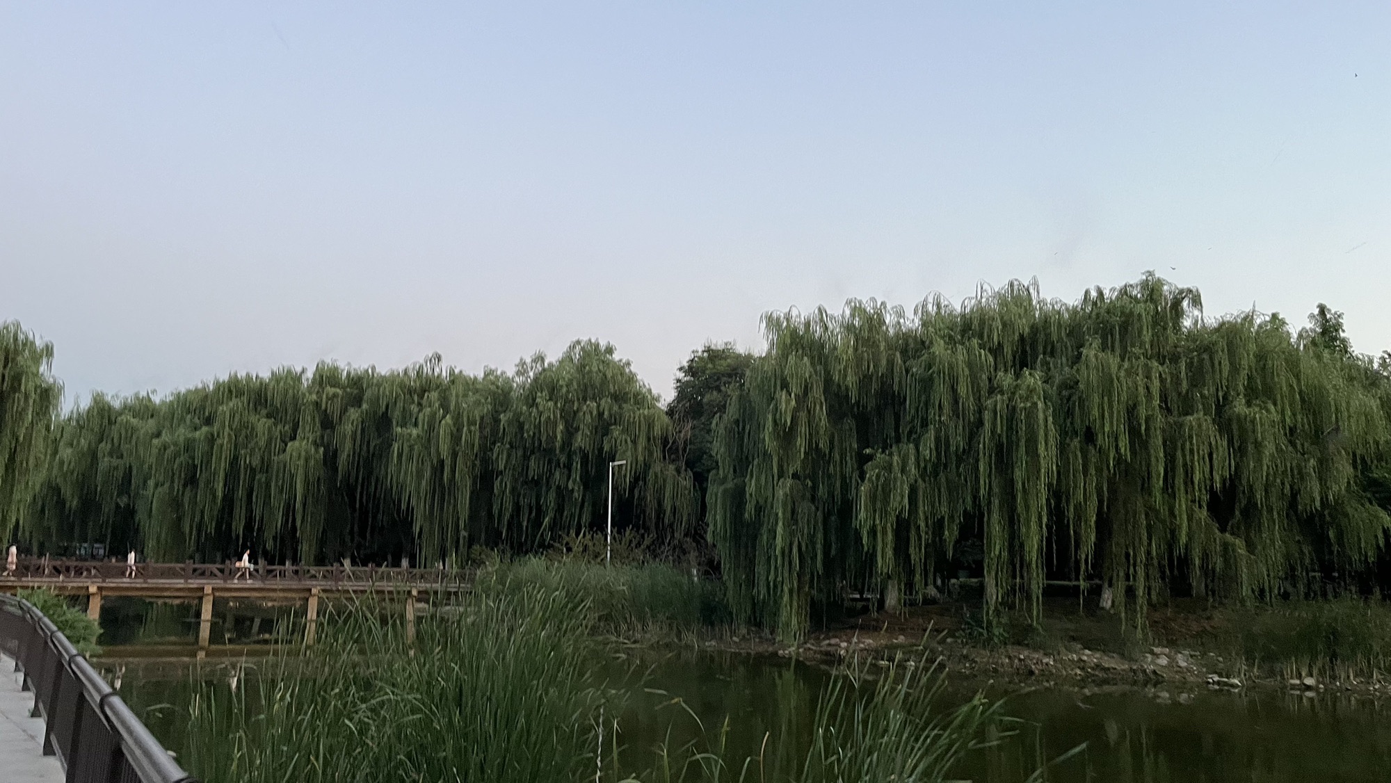宋城公园旅行图片 3