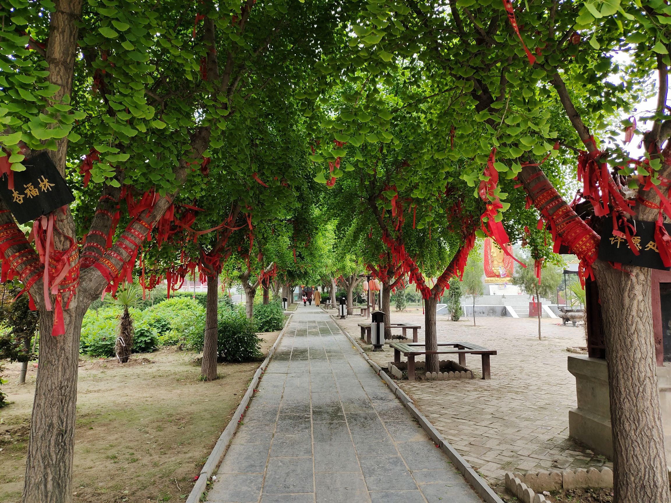 商丘民权县白云禅寺景区旅行图片 2