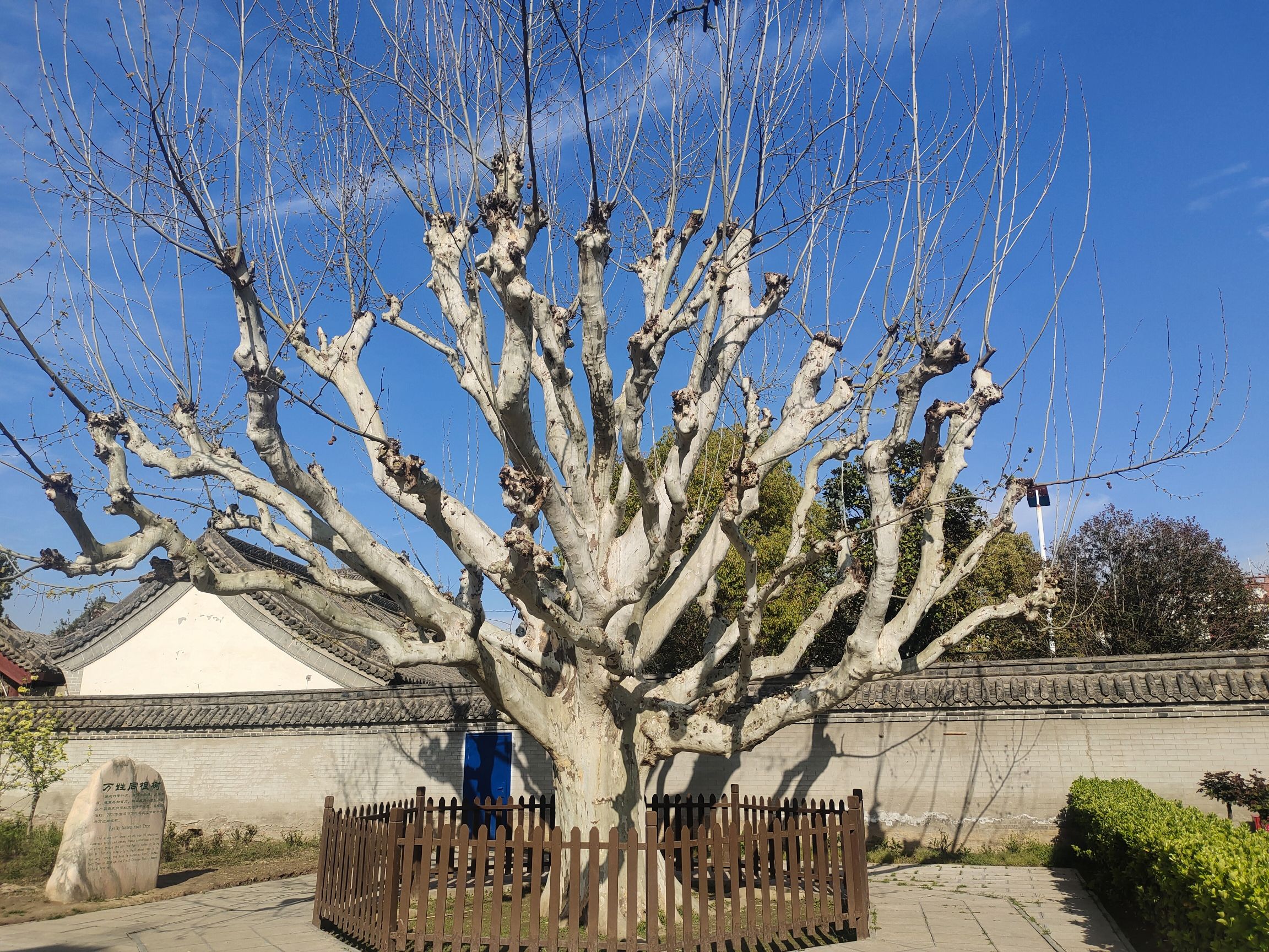 商丘民权县白云禅寺景区旅行图片 3