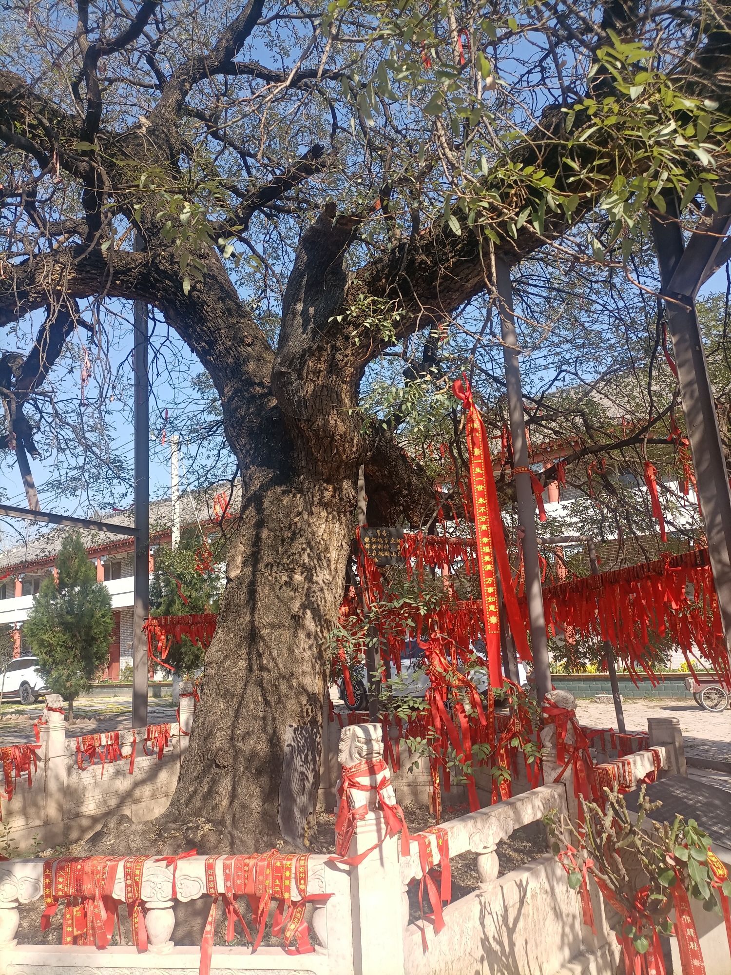 商丘民权县白云禅寺景区旅行图片 3
