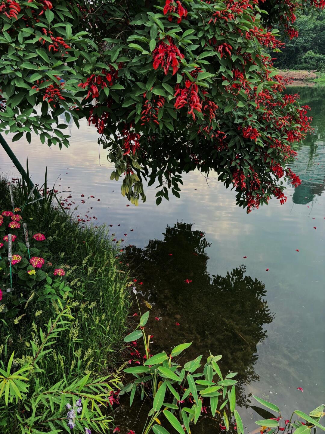 北湖景区旅行图片 3