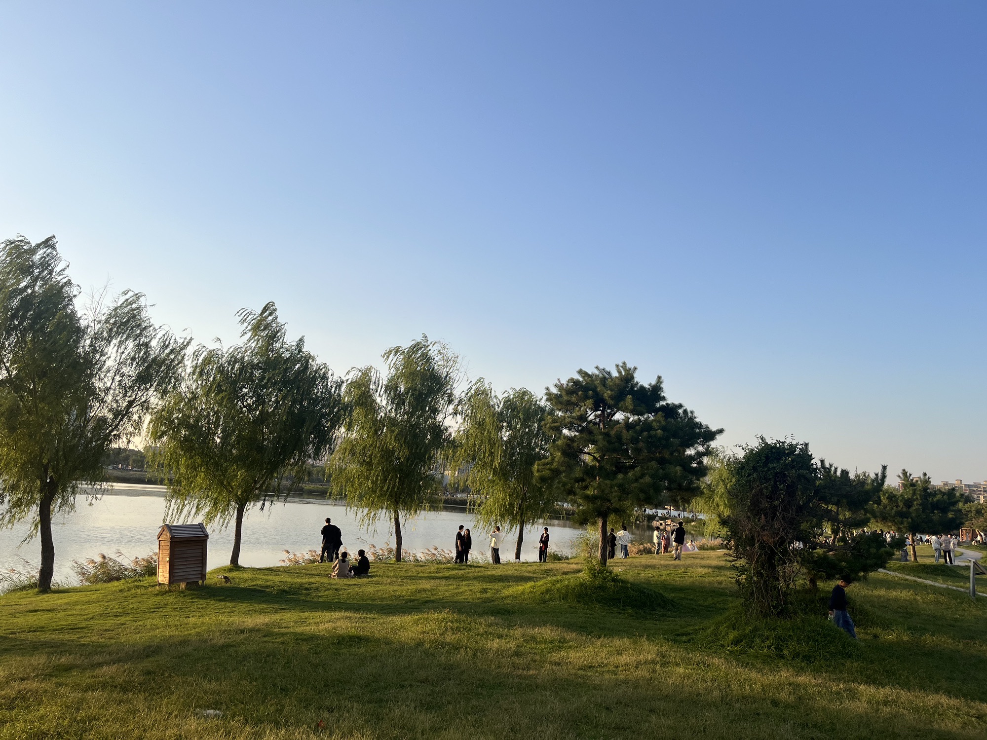 容湖国家湿地公园旅行图片 2