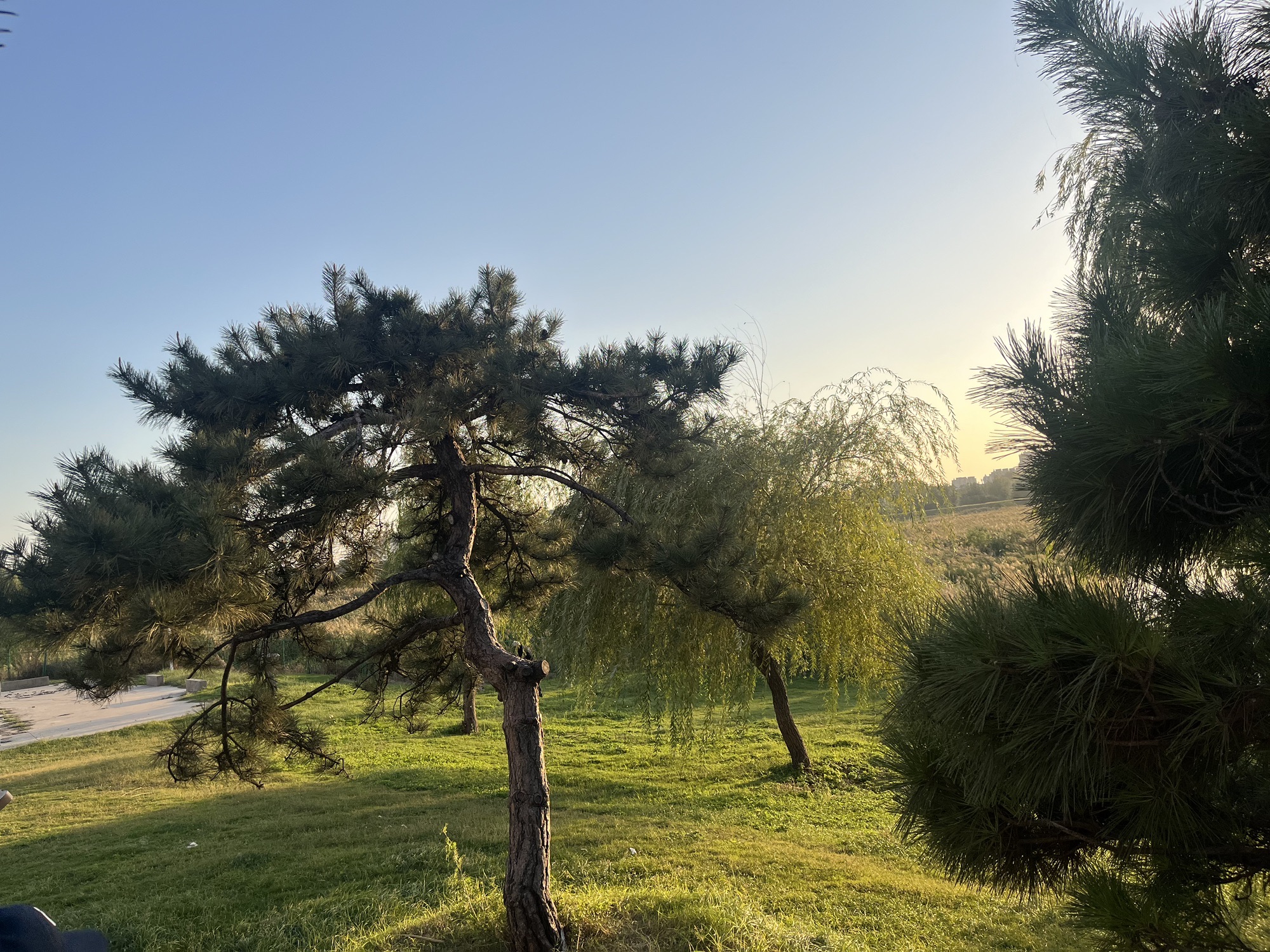 容湖国家湿地公园旅行图片 1
