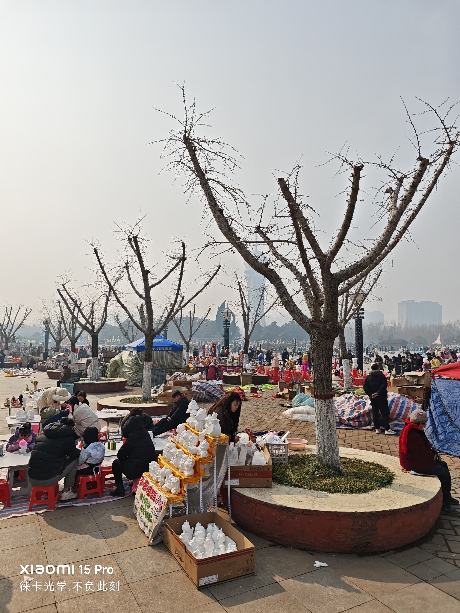 容湖国家湿地公园旅行图片 3