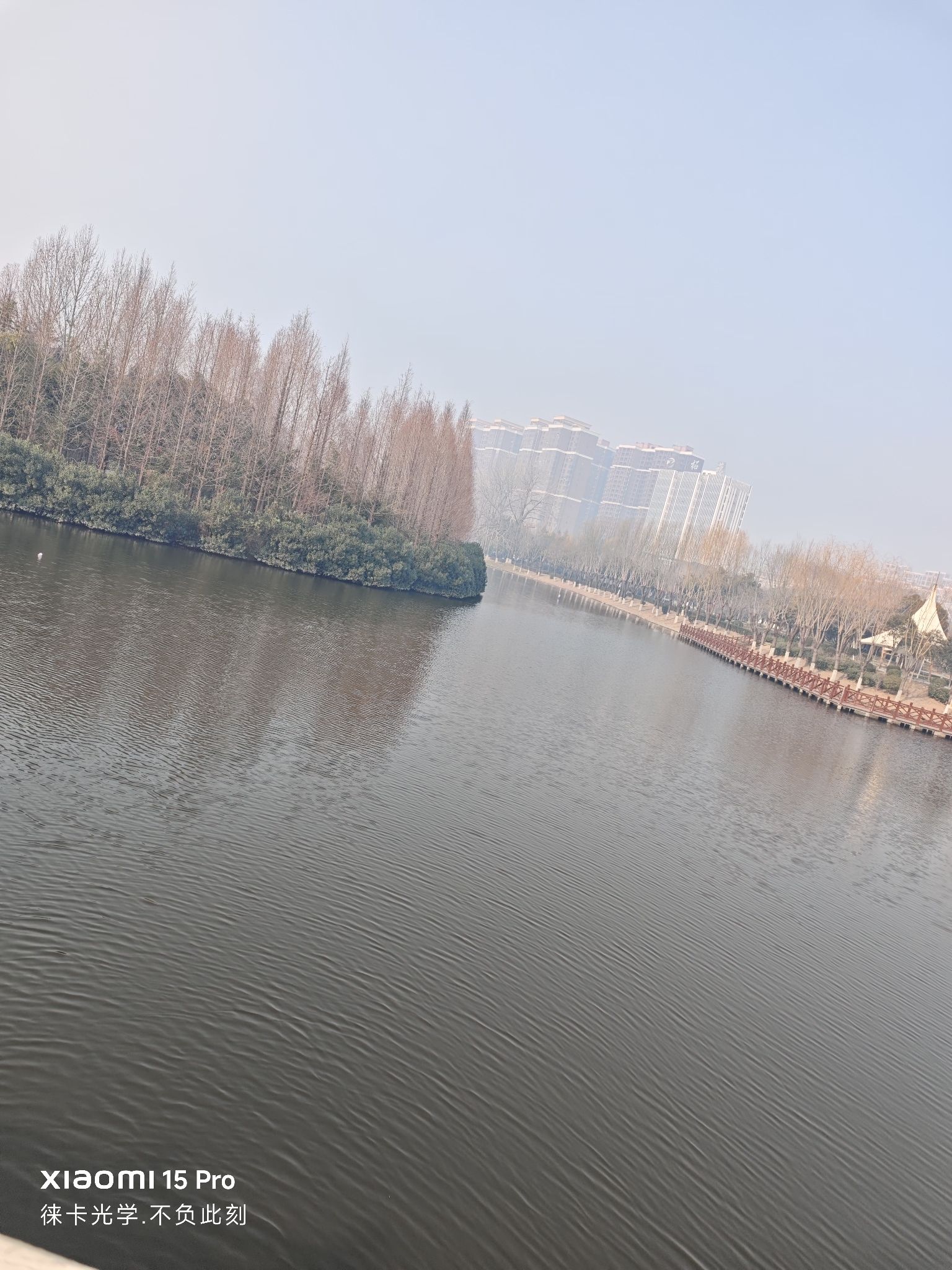 容湖国家湿地公园旅行图片 1
