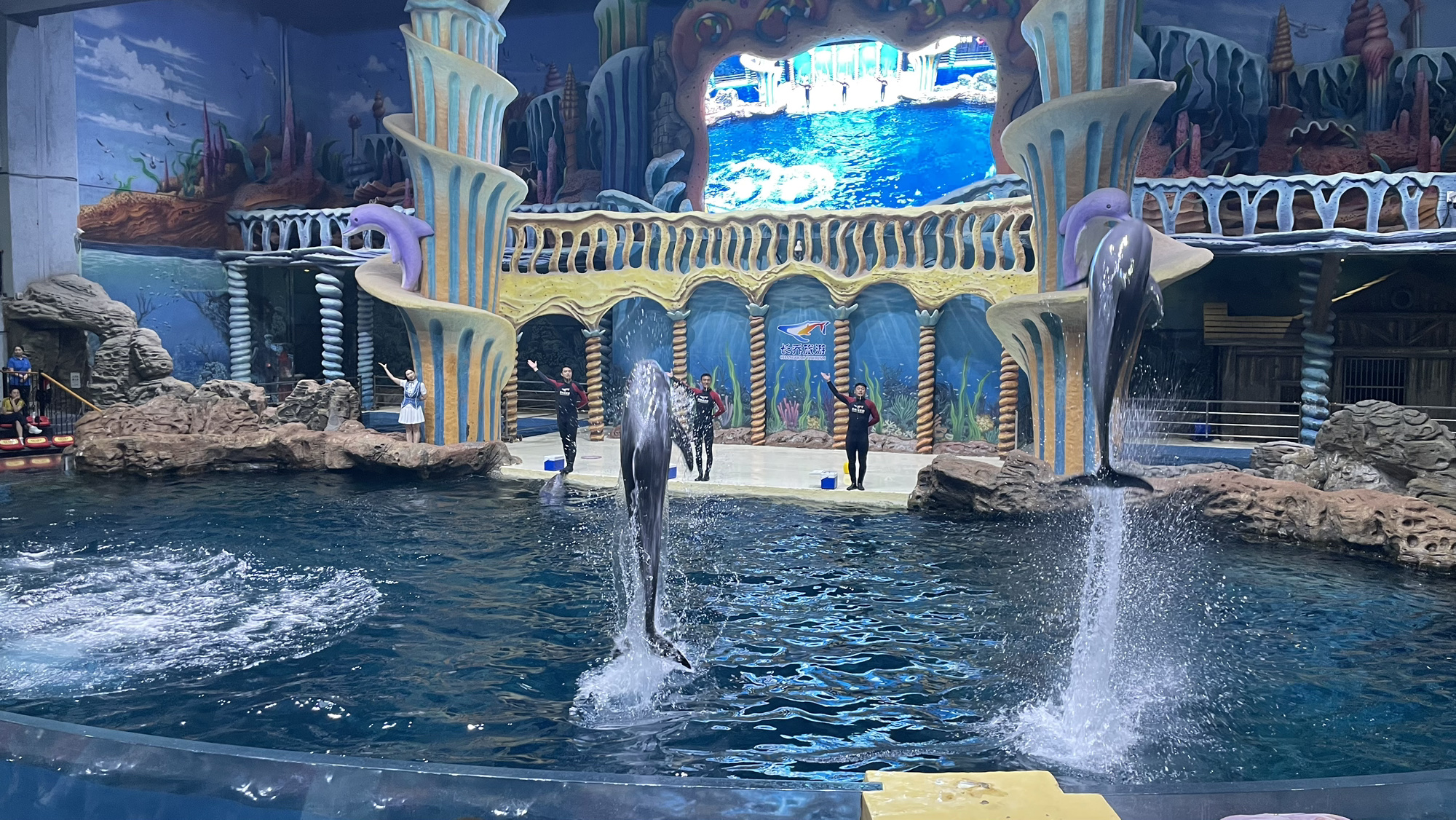 郑州海洋馆旅行图片 2