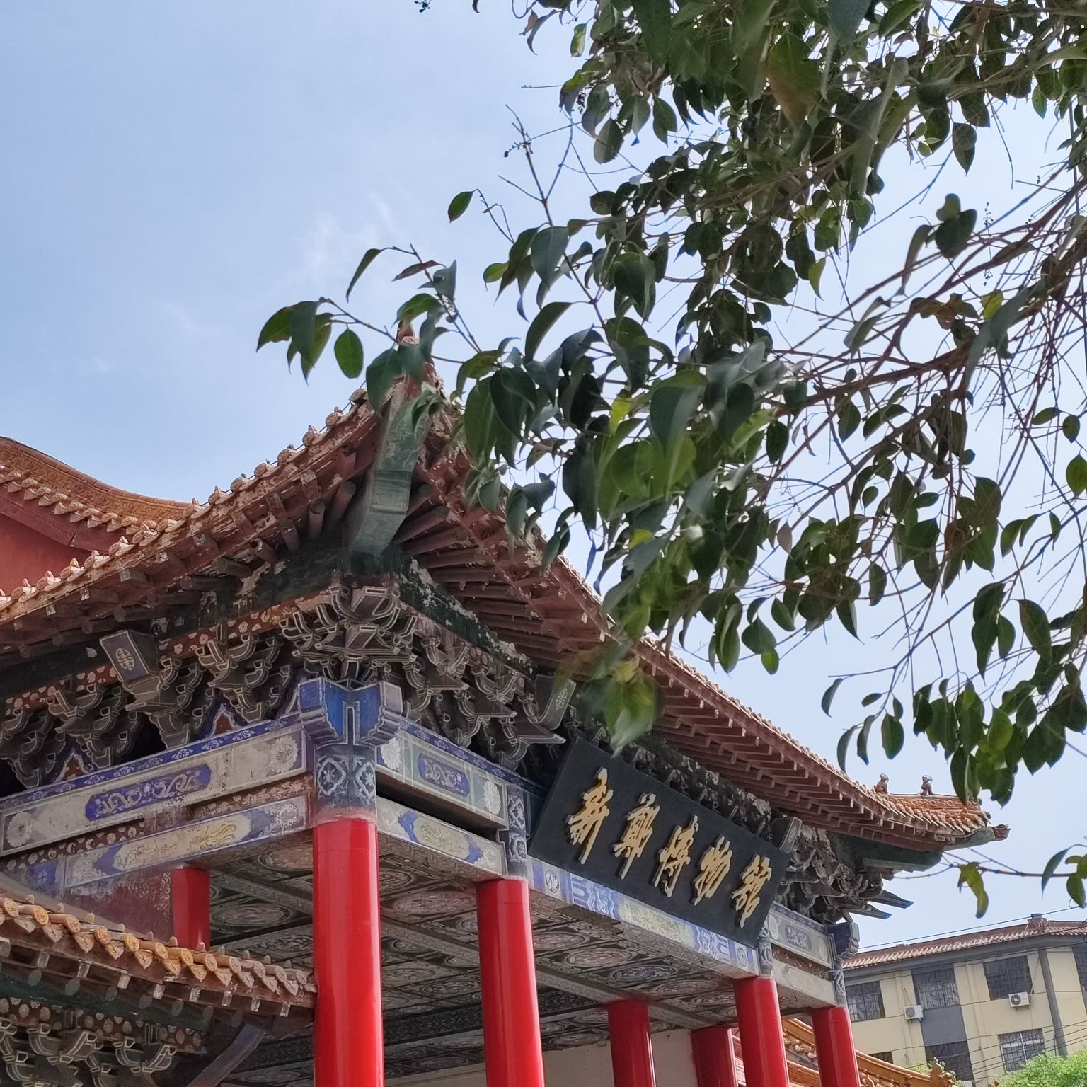 新郑博物馆旅行图片 1