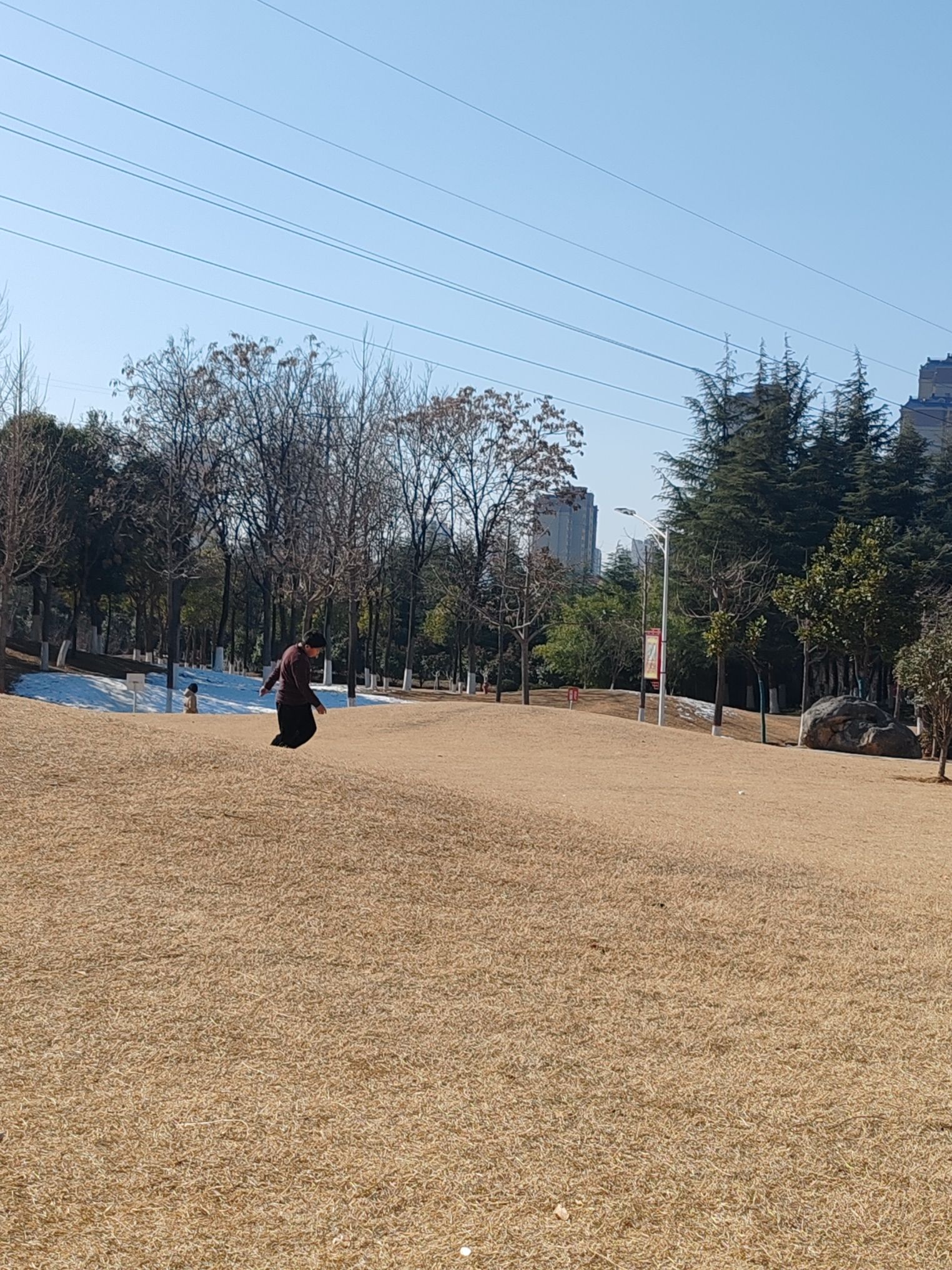 荥阳市人民公园旅行图片 2