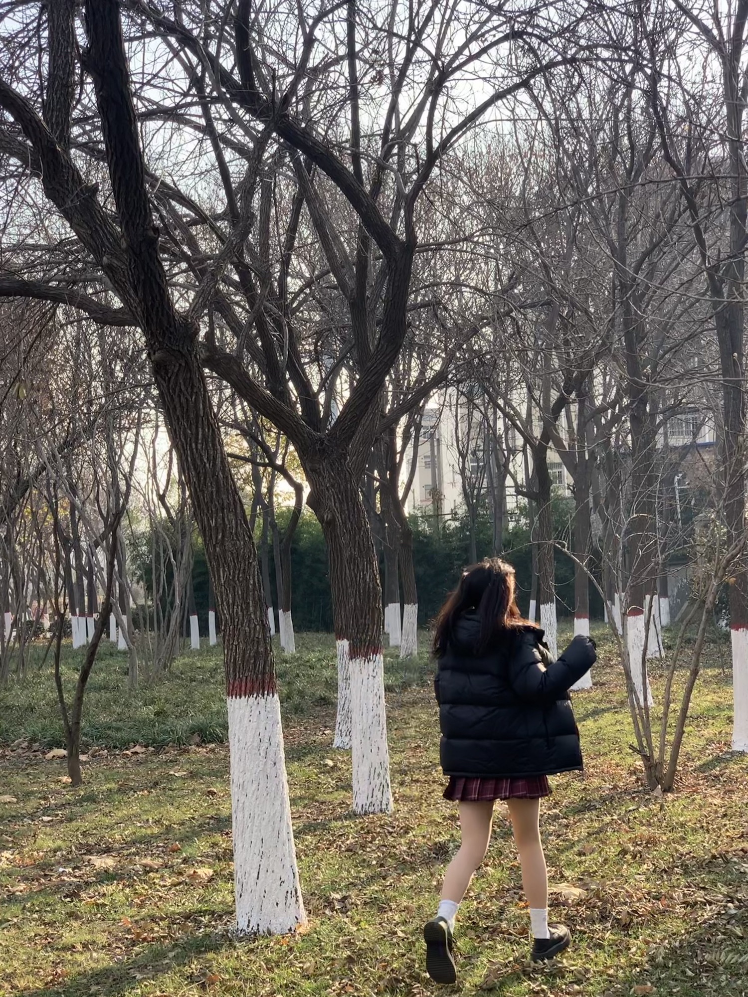 荥阳市人民公园旅行图片 2