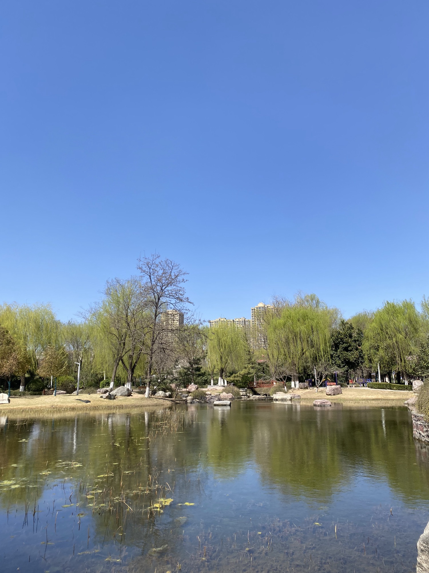 荥阳市人民公园旅行图片 1