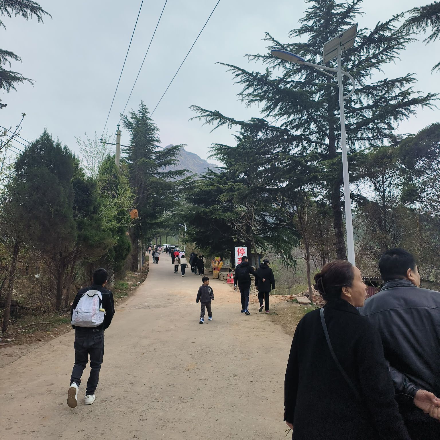 始祖山旅行图片 2