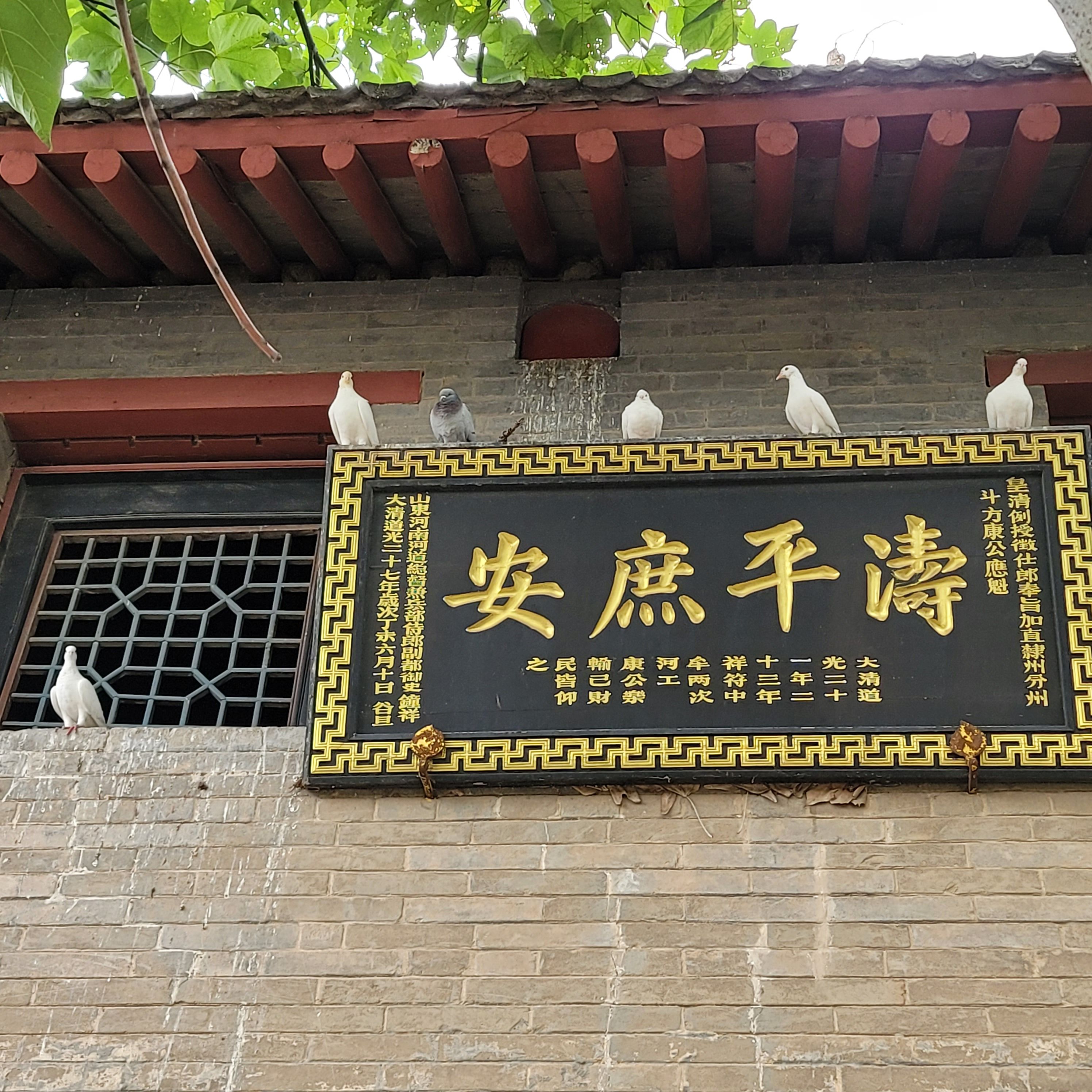 康百万庄园旅行图片 1