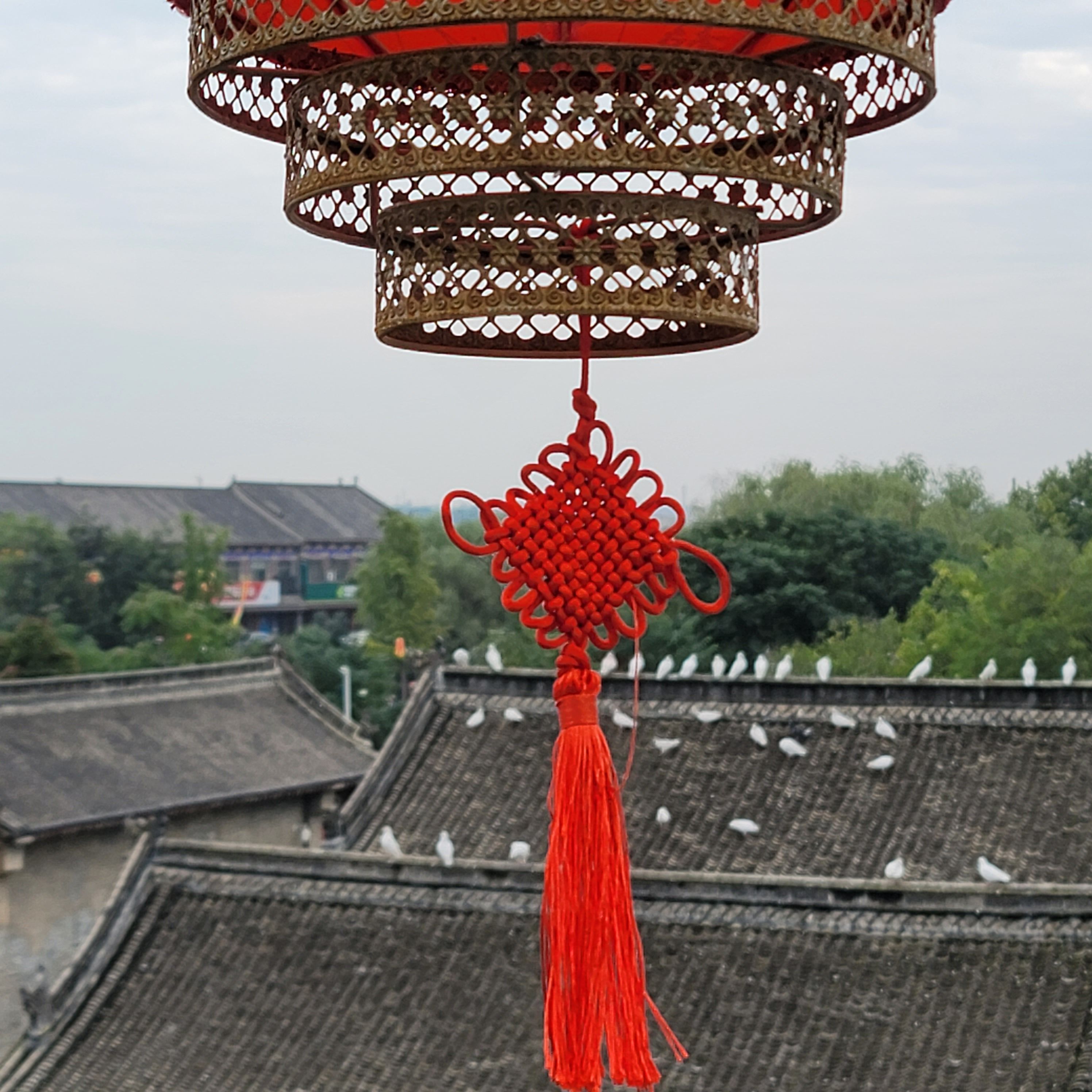 康百万庄园旅行图片 2