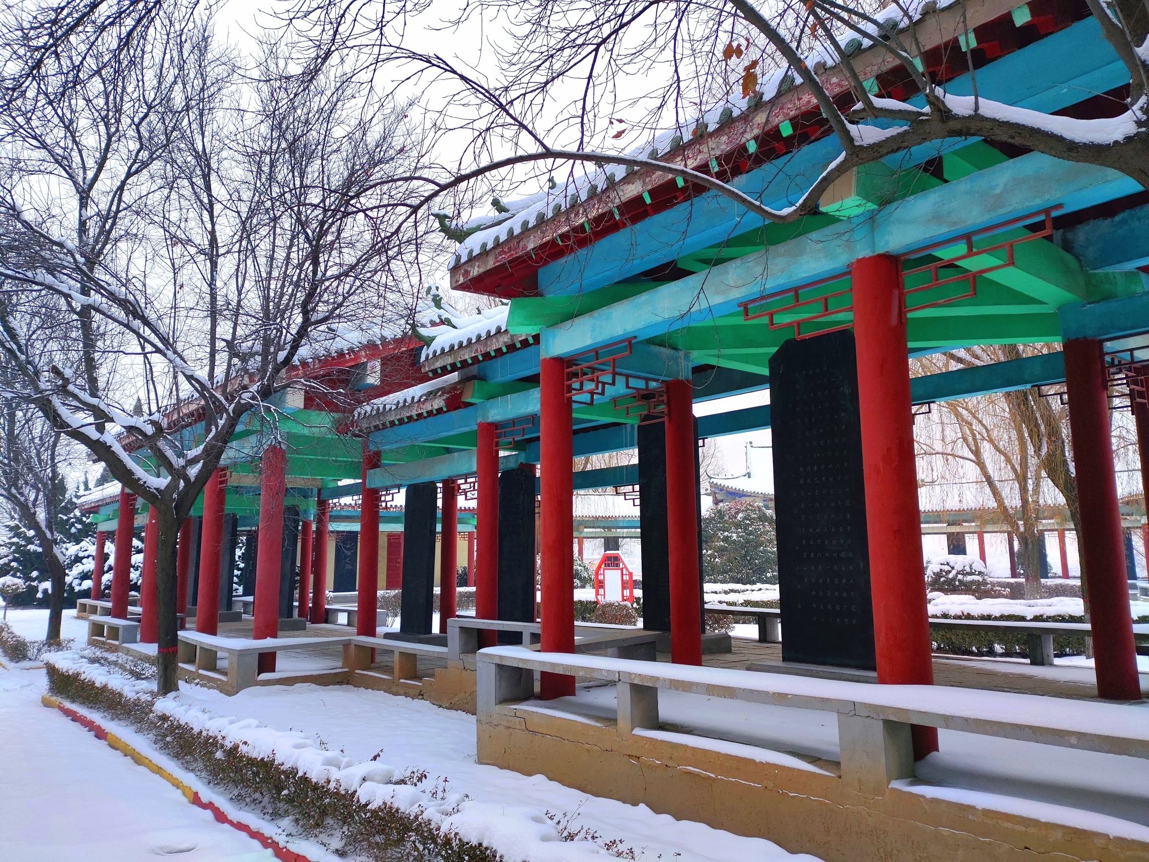 竹林镇北山公园旅行图片 1