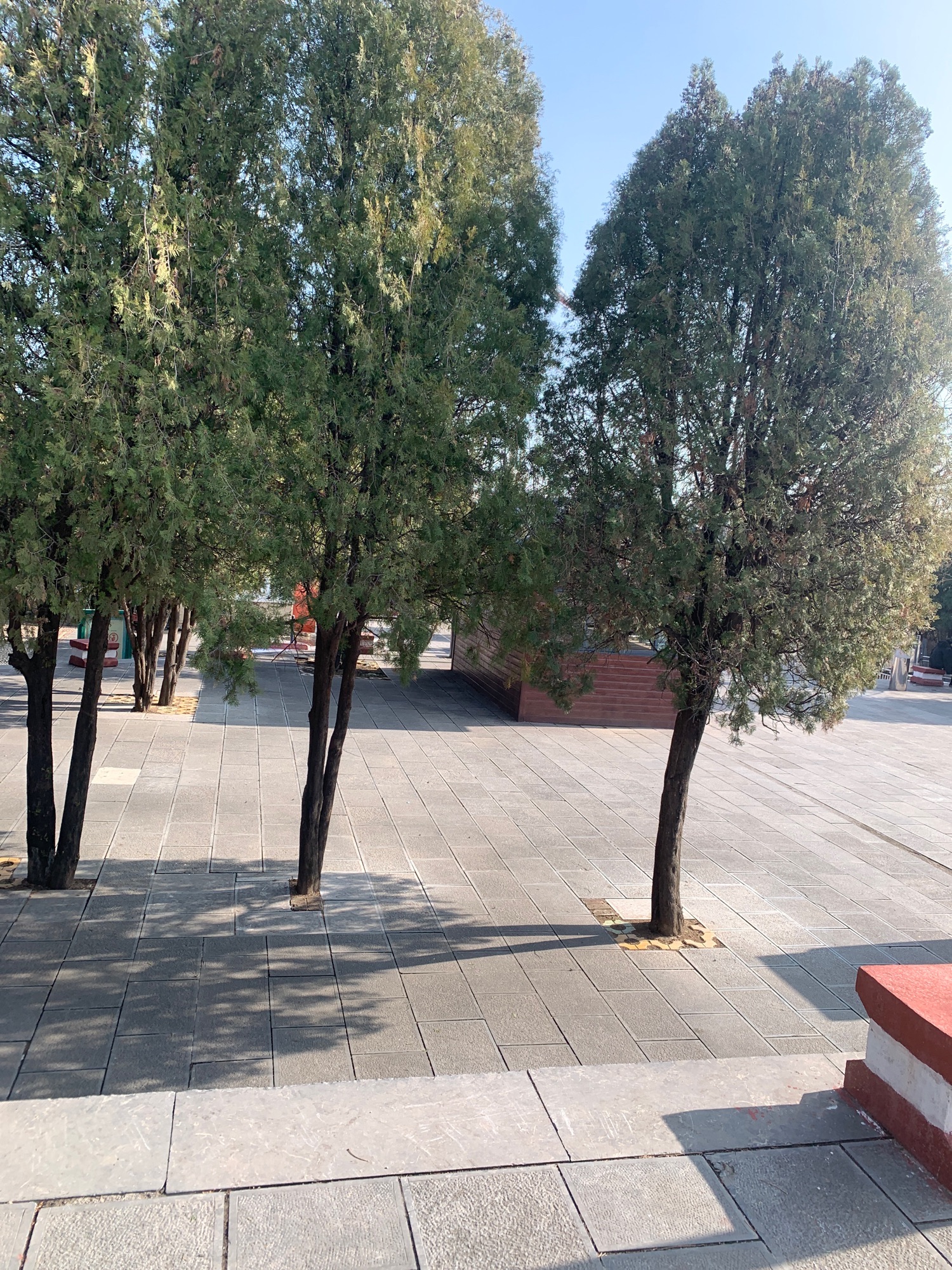 青屏山公园旅行图片 1