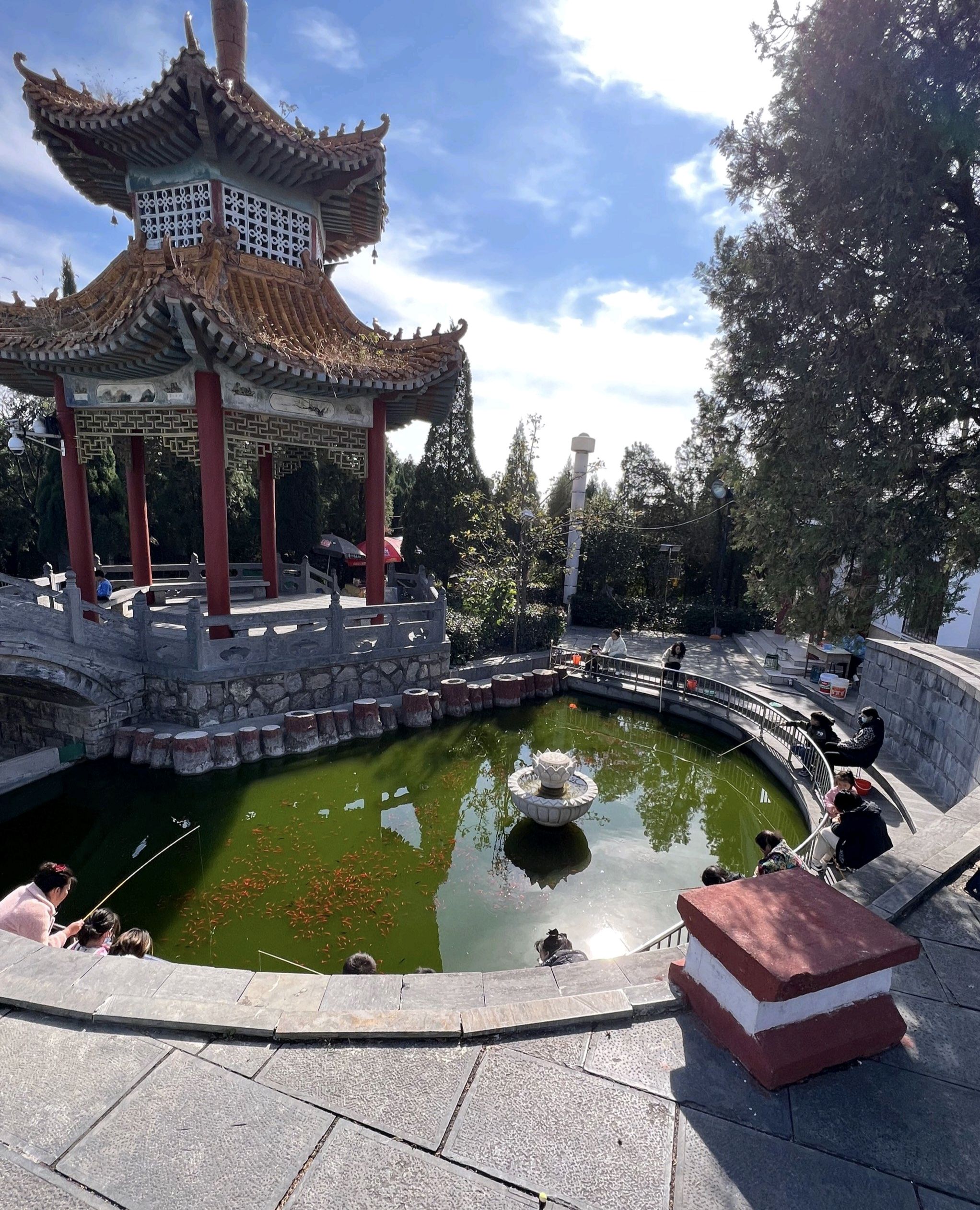 青屏山公园旅行图片 3