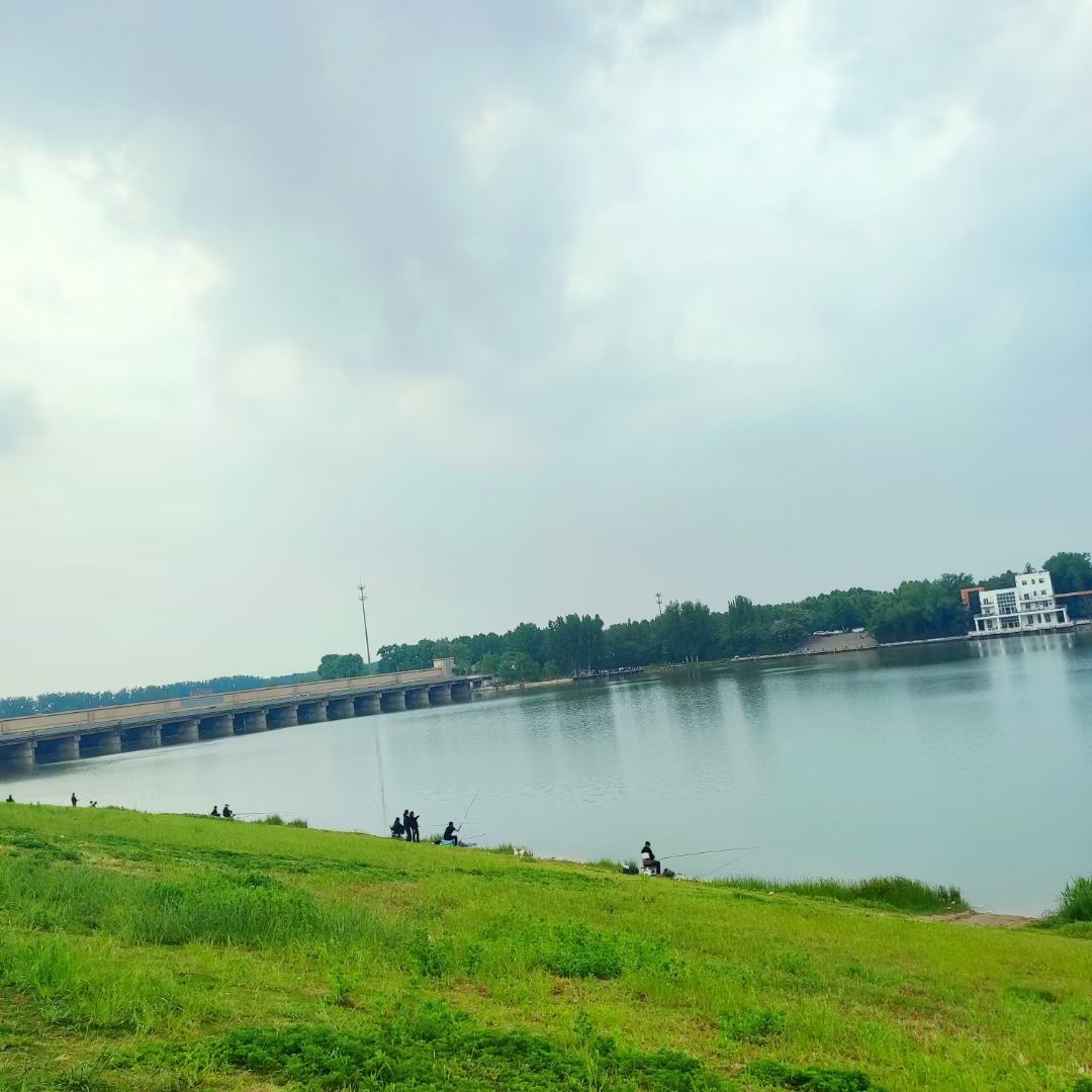 黄河花园口旅游区旅行图片 1