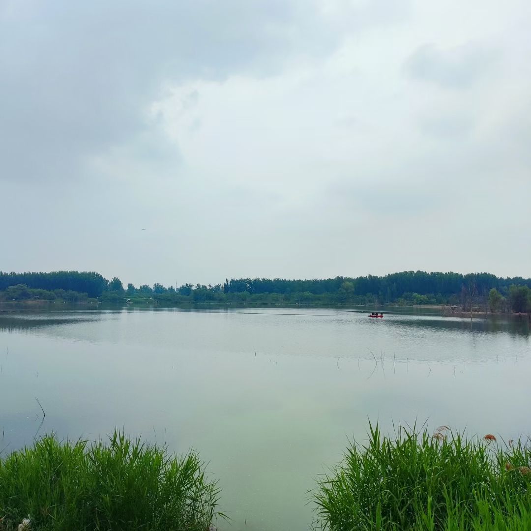 黄河花园口旅游区旅行图片 3