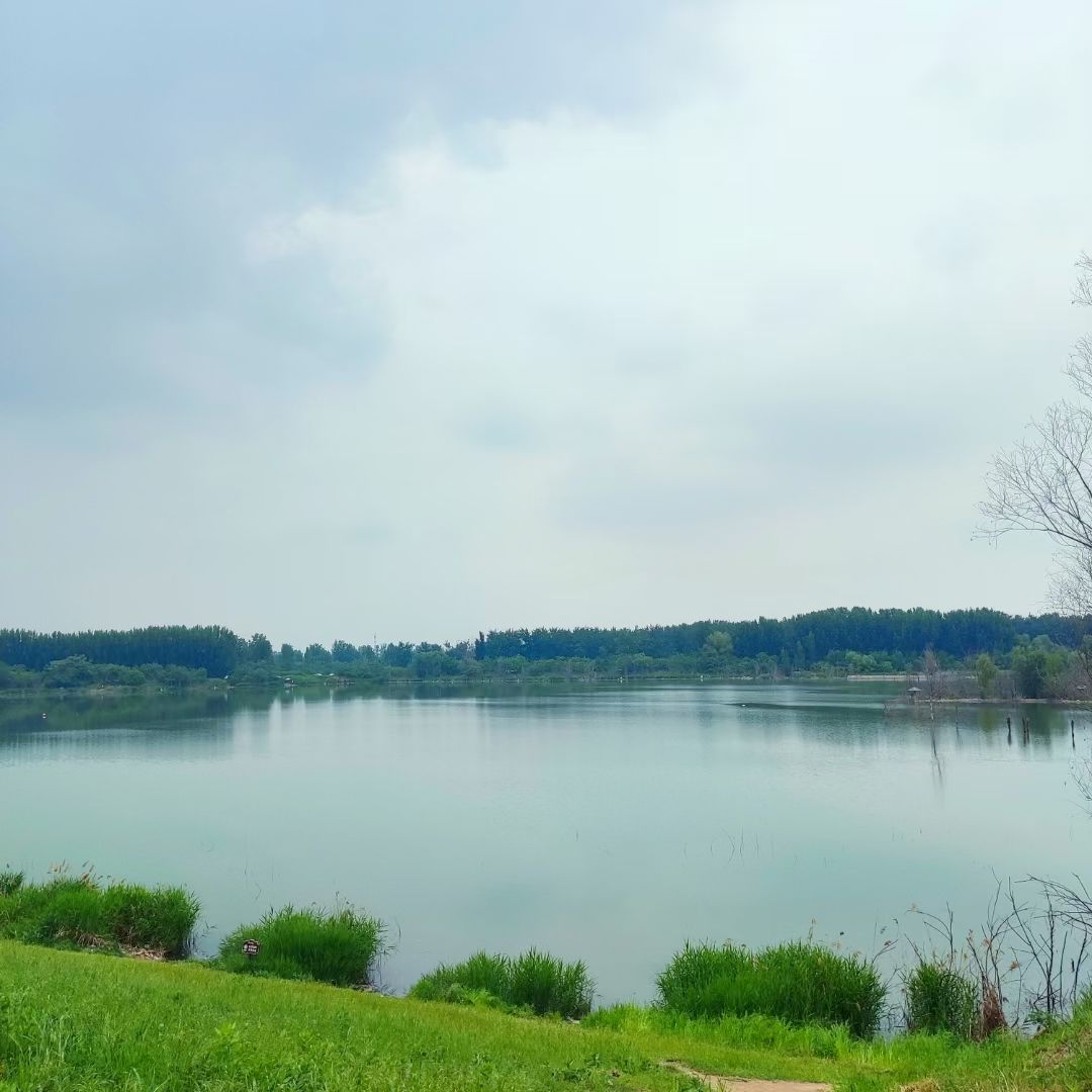 黄河花园口旅游区旅行图片 2