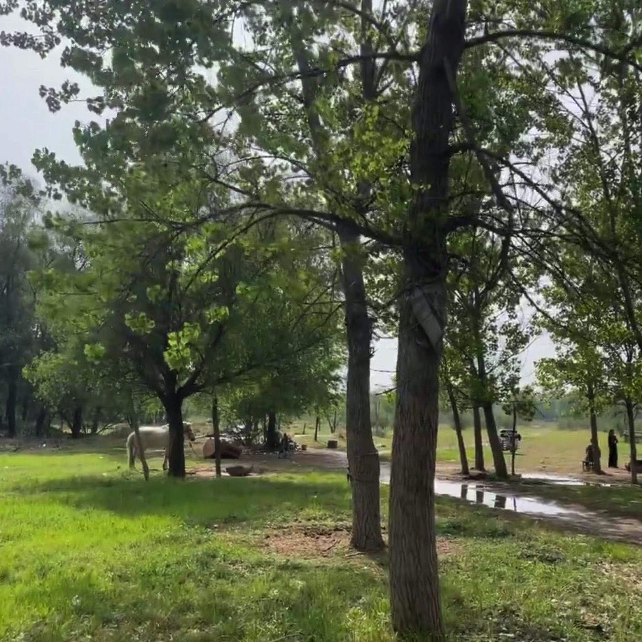 黄河花园口旅游区旅行图片 3