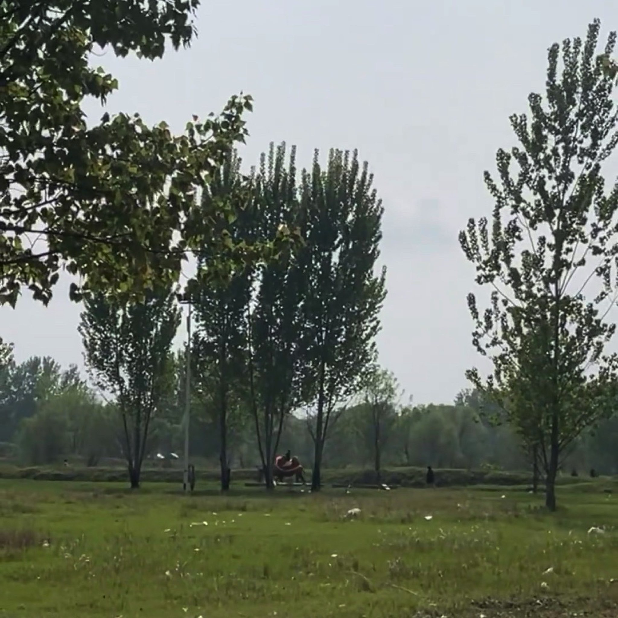 黄河花园口旅游区旅行图片 1