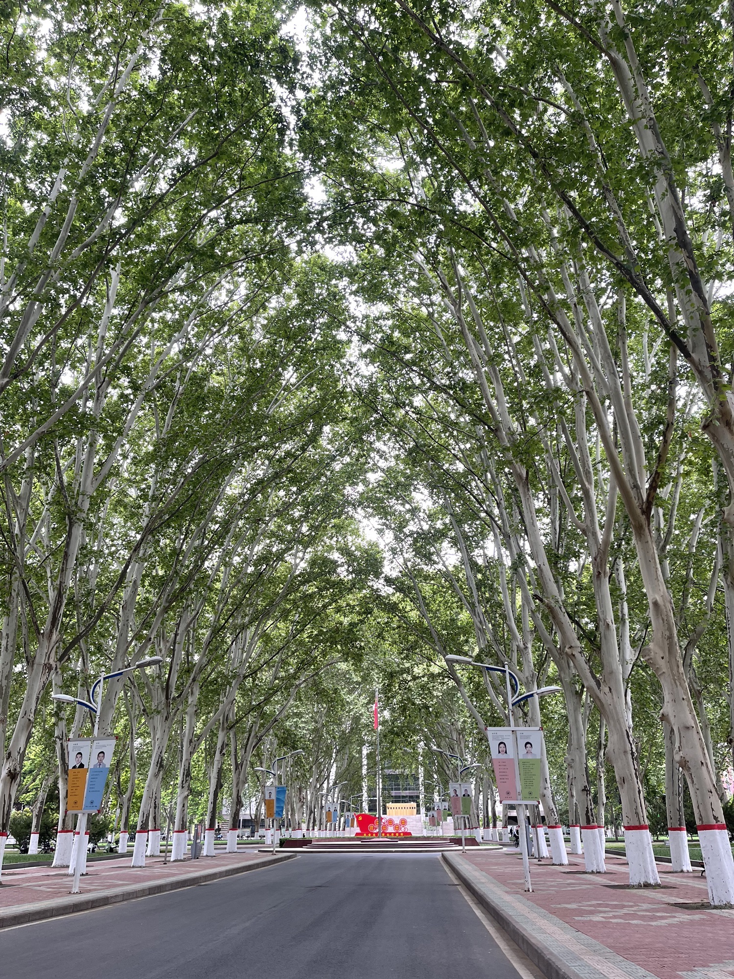 郑州大学北校区