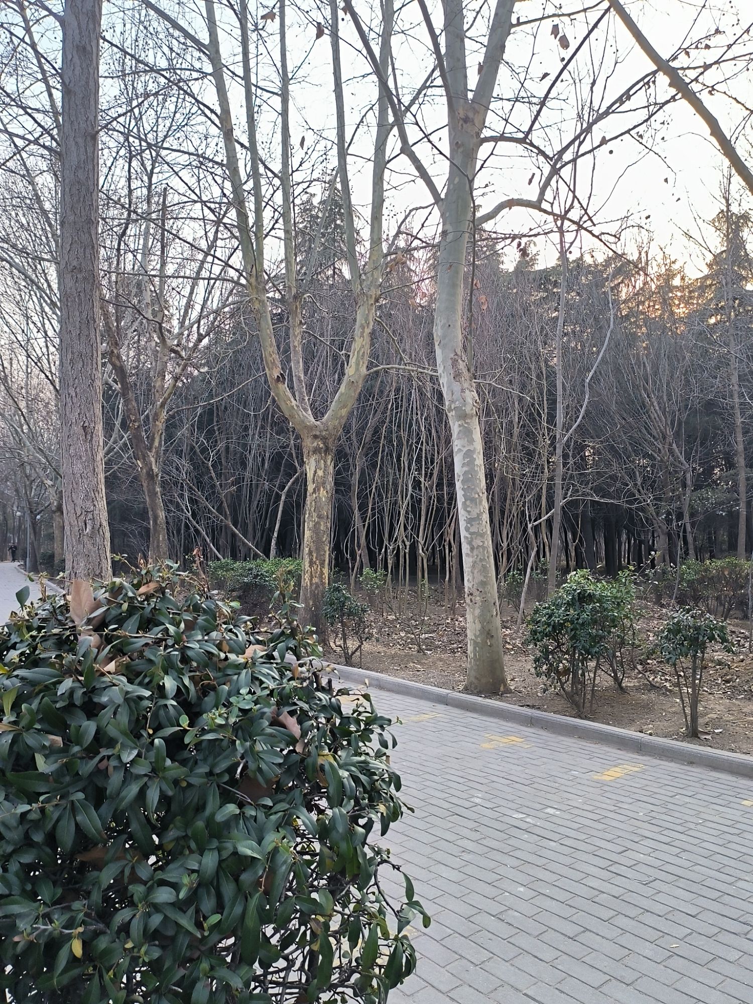 康师傅公园旅行图片 1