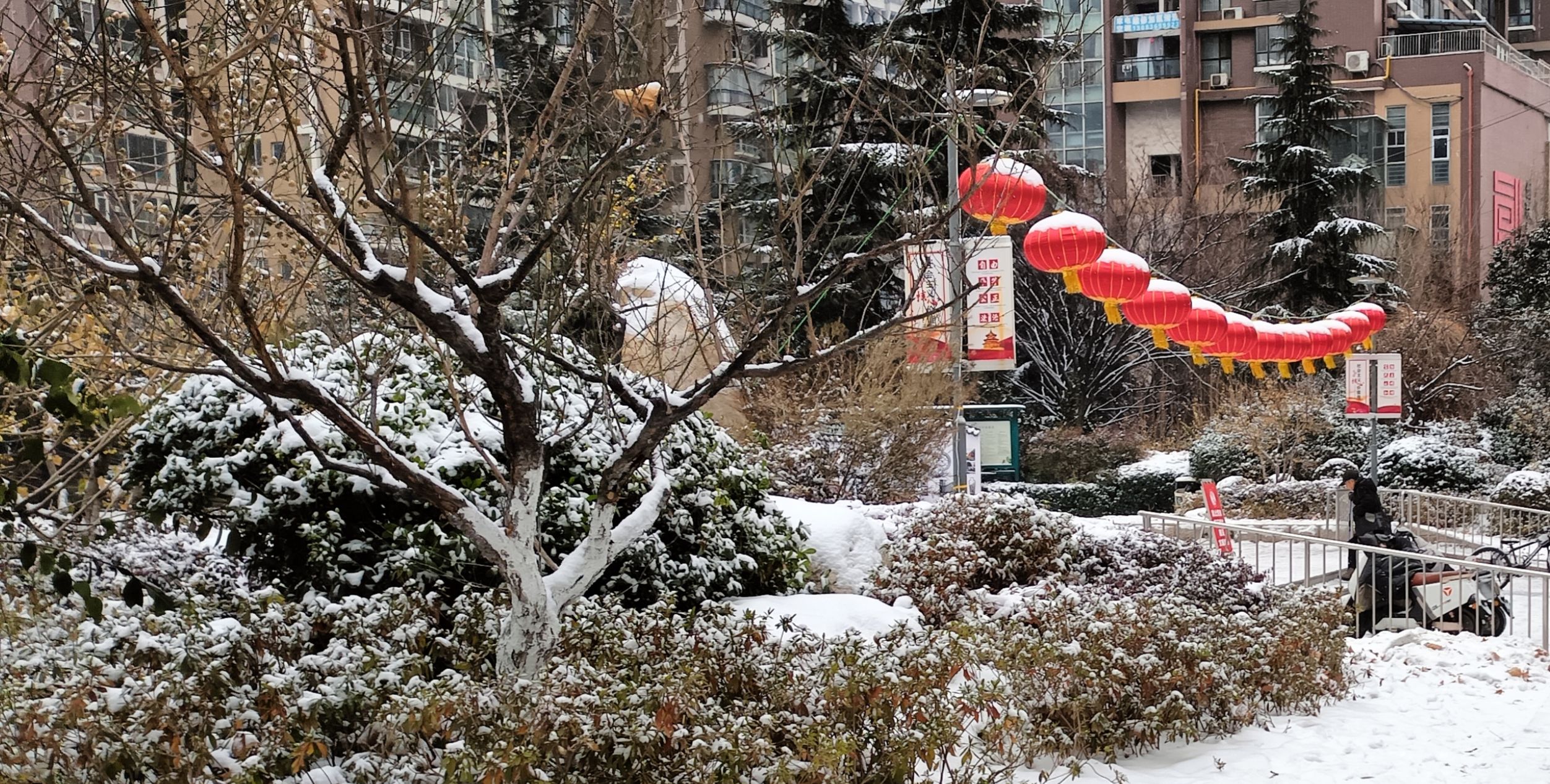 绿荫公园旅行图片