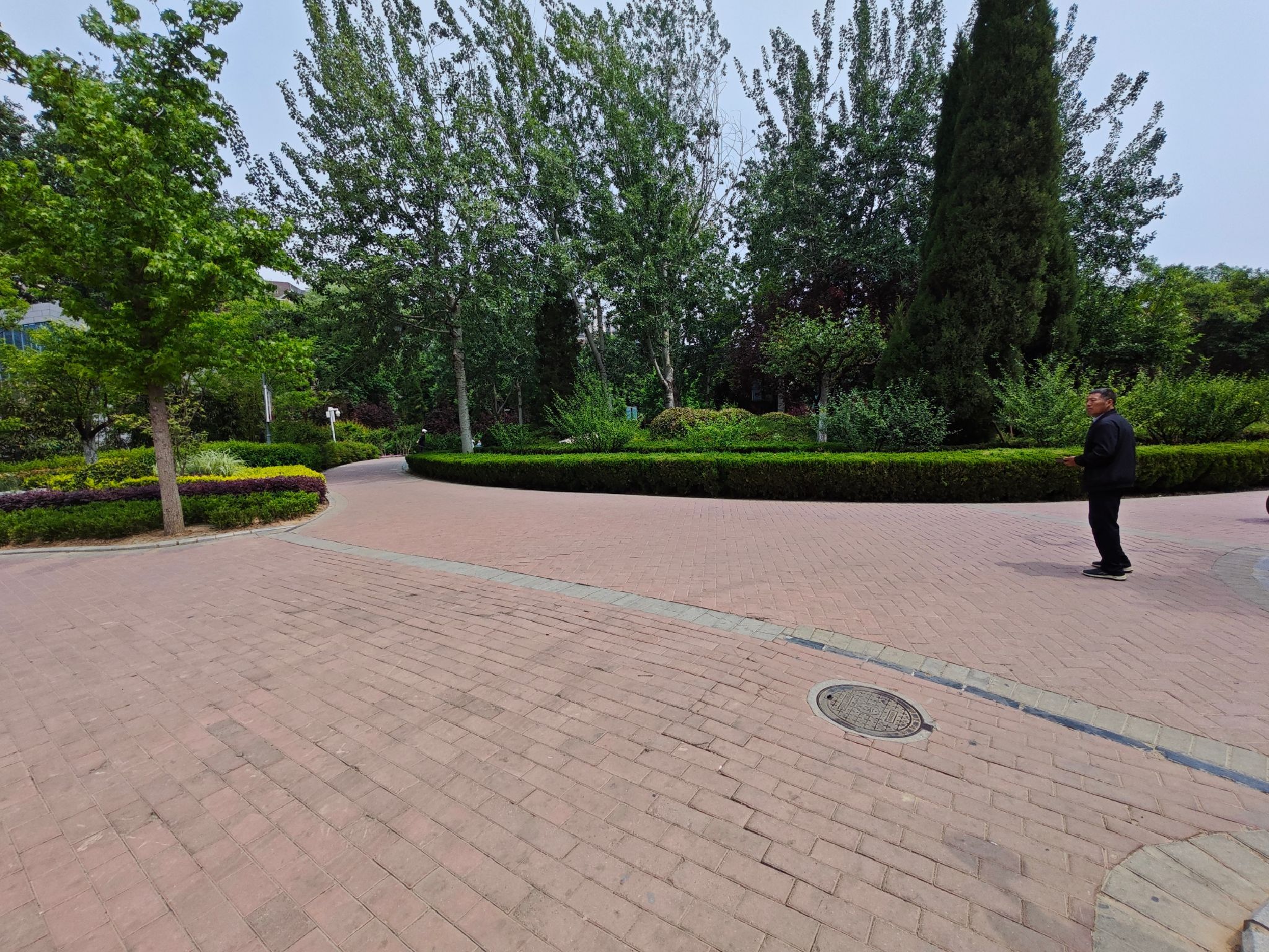 绿荫公园旅行图片