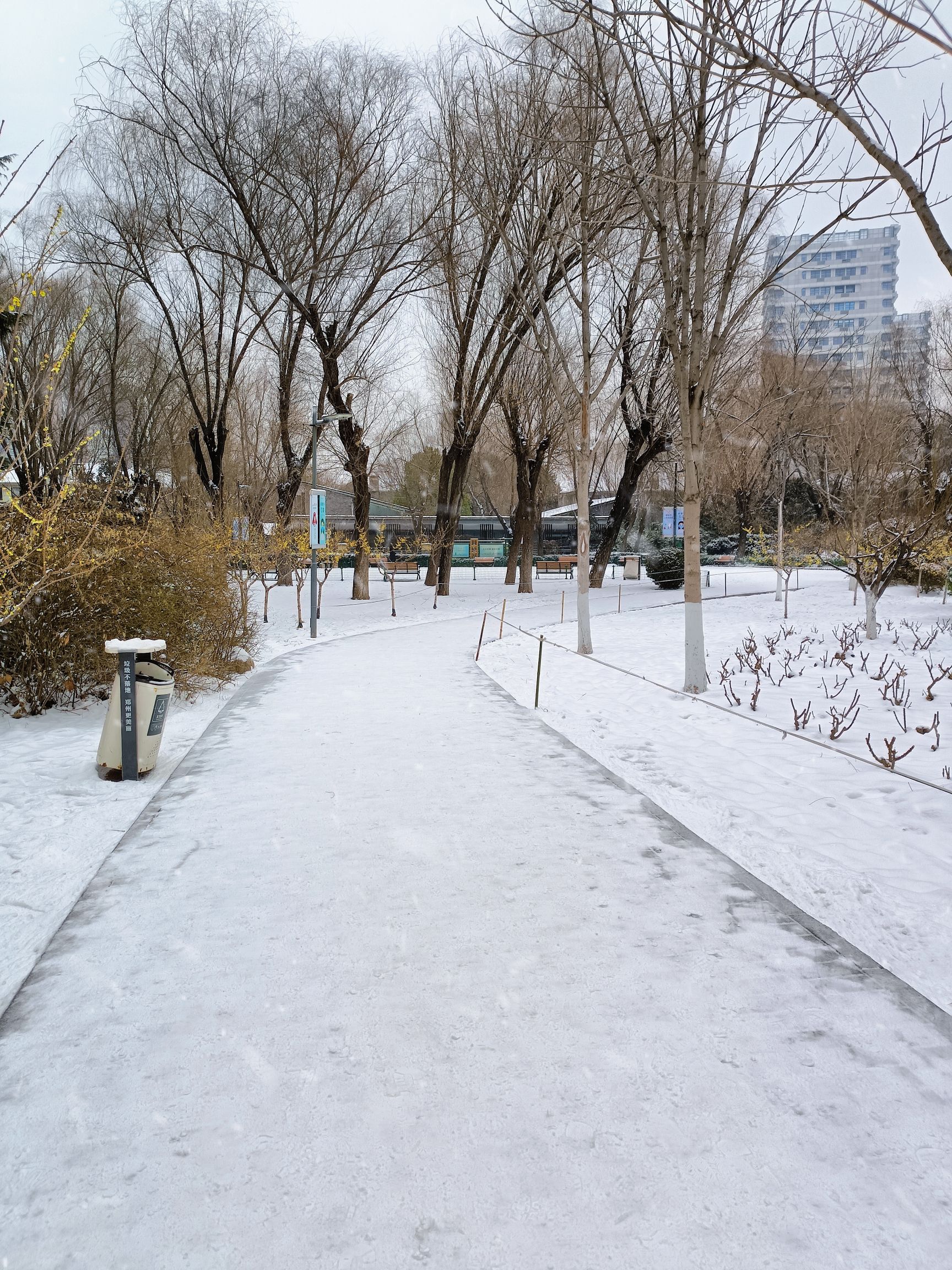 绿荫公园旅行图片 3
