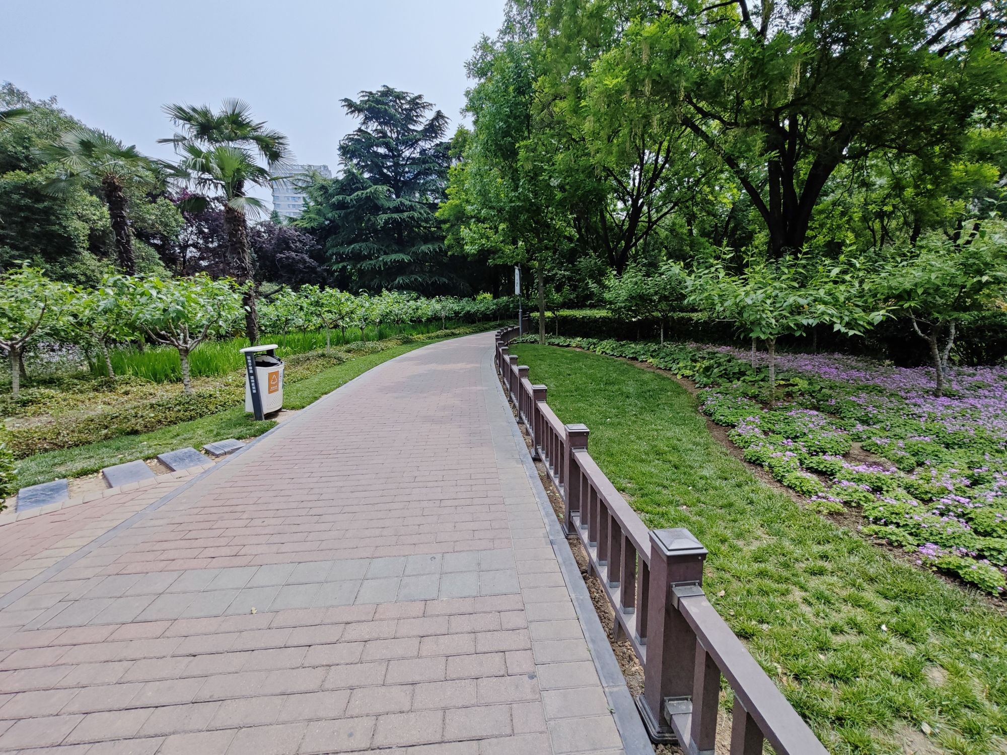 绿荫公园旅行图片 2