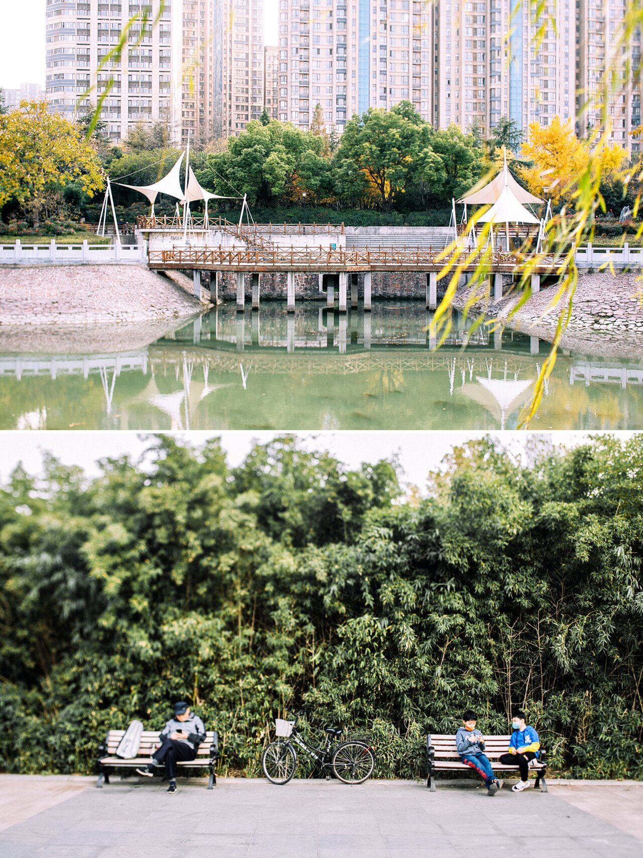 数码公园旅行图片 1