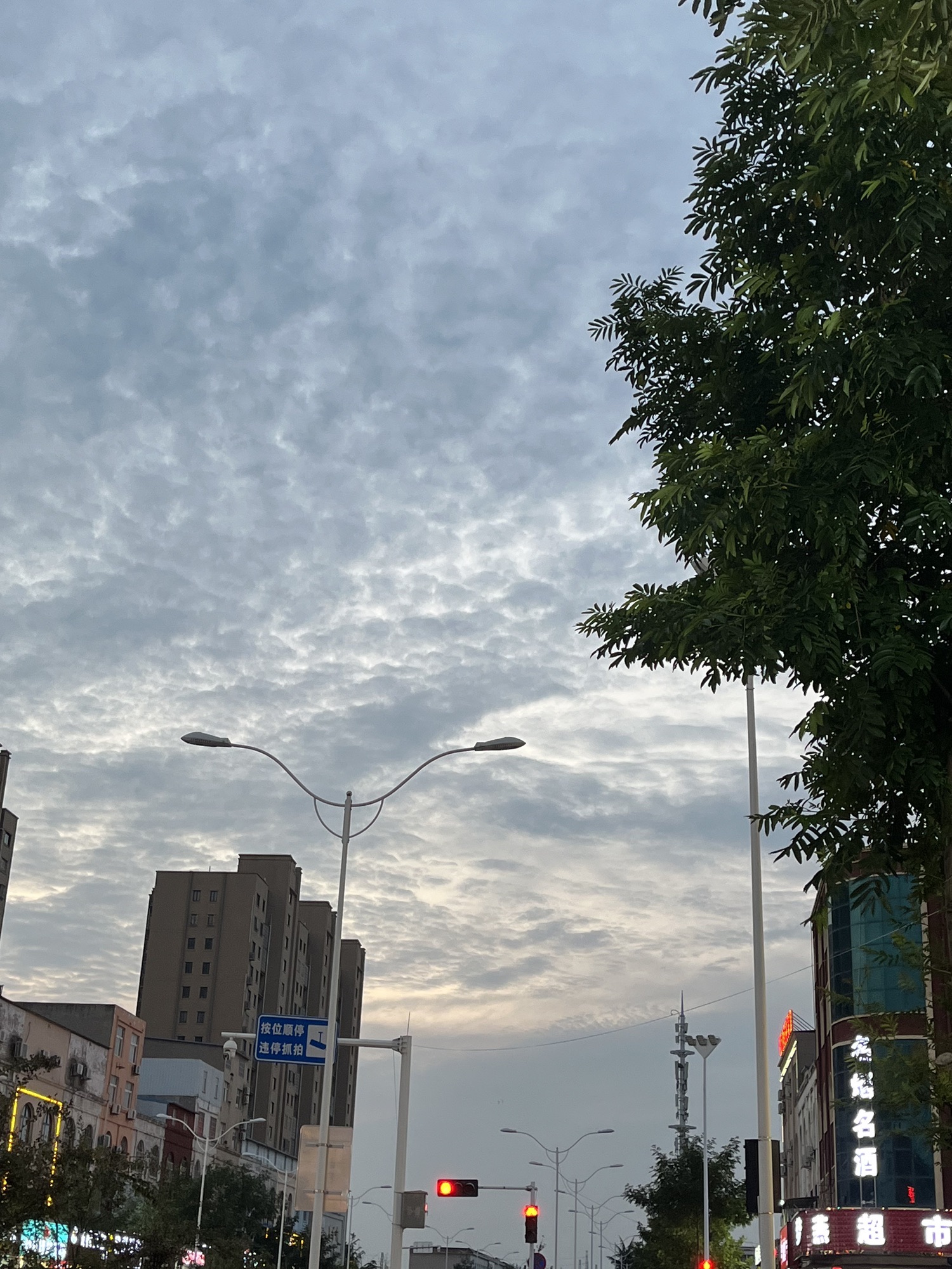 薛店世纪广场旅行图片 3
