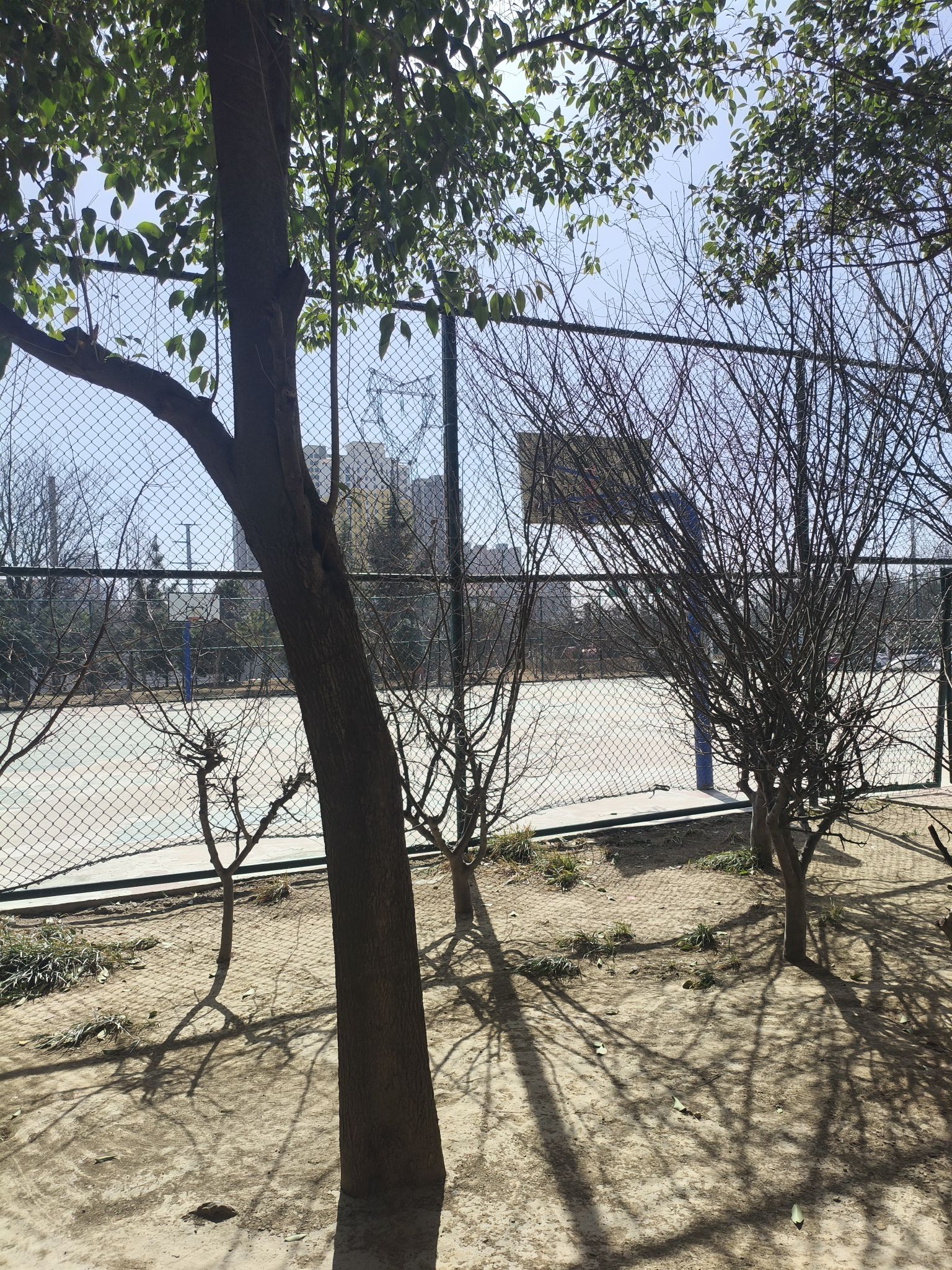 惠雅公园旅行图片 3