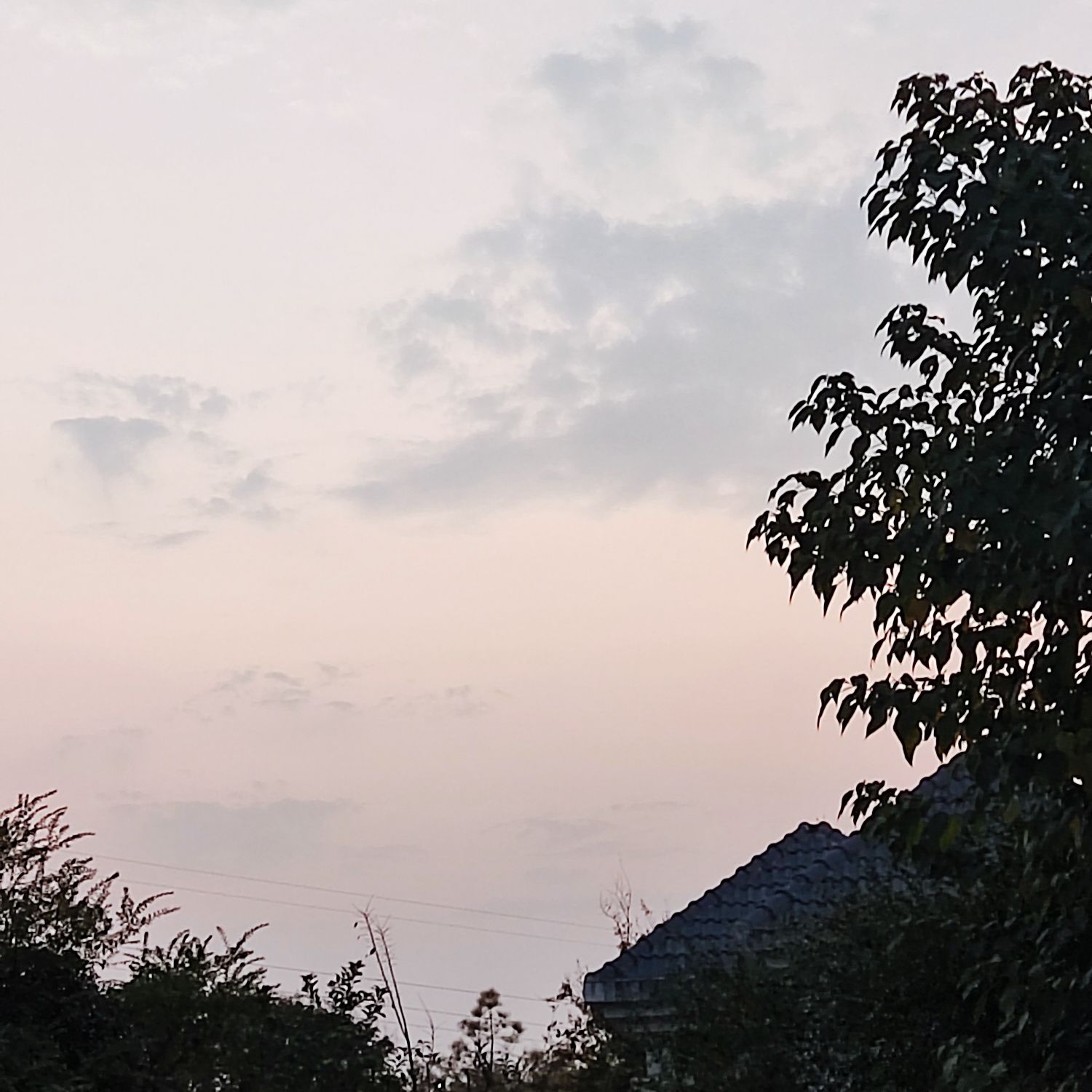 惠雅公园旅行图片 3