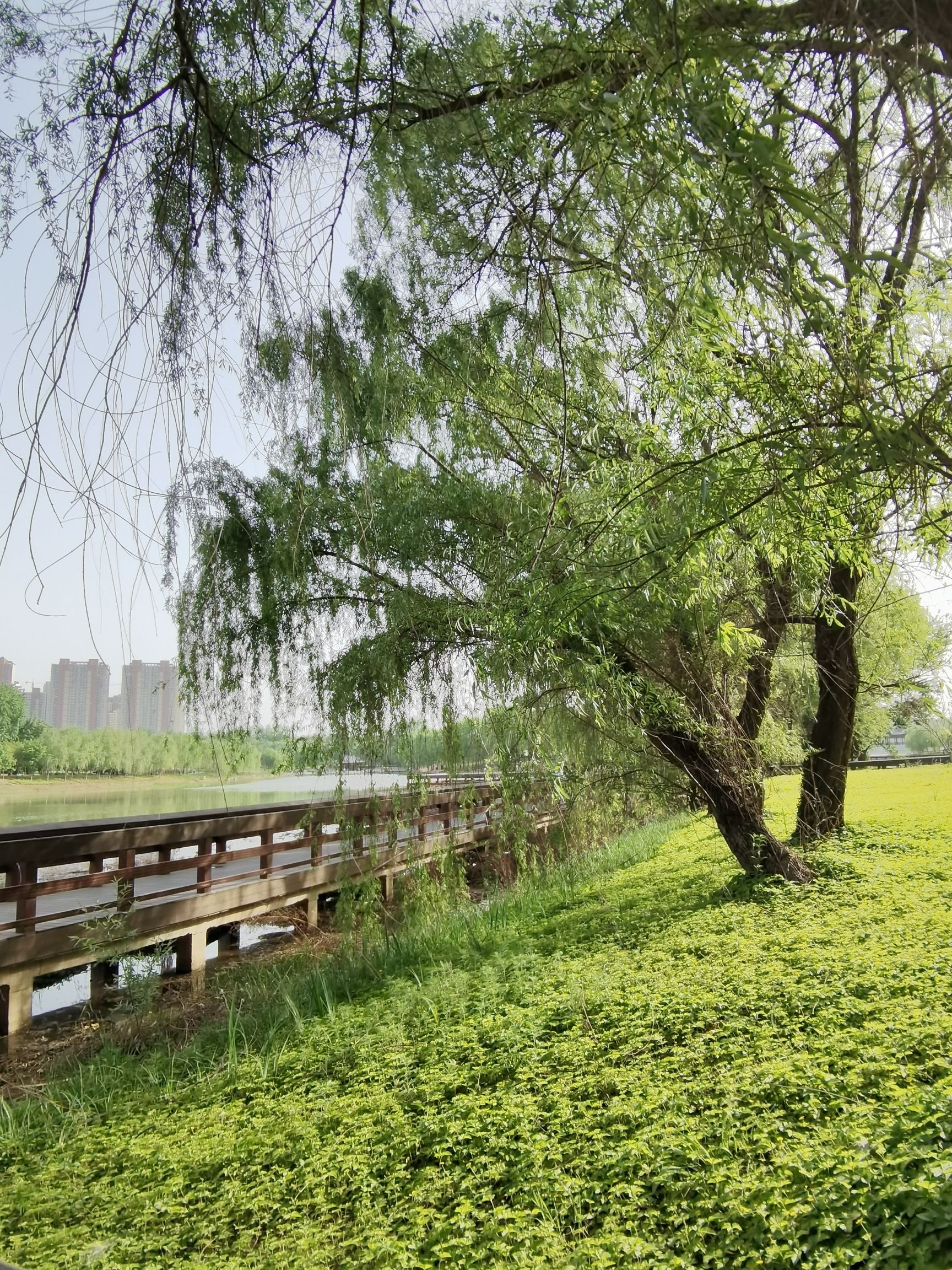 郑州市西流湖公园(北区)