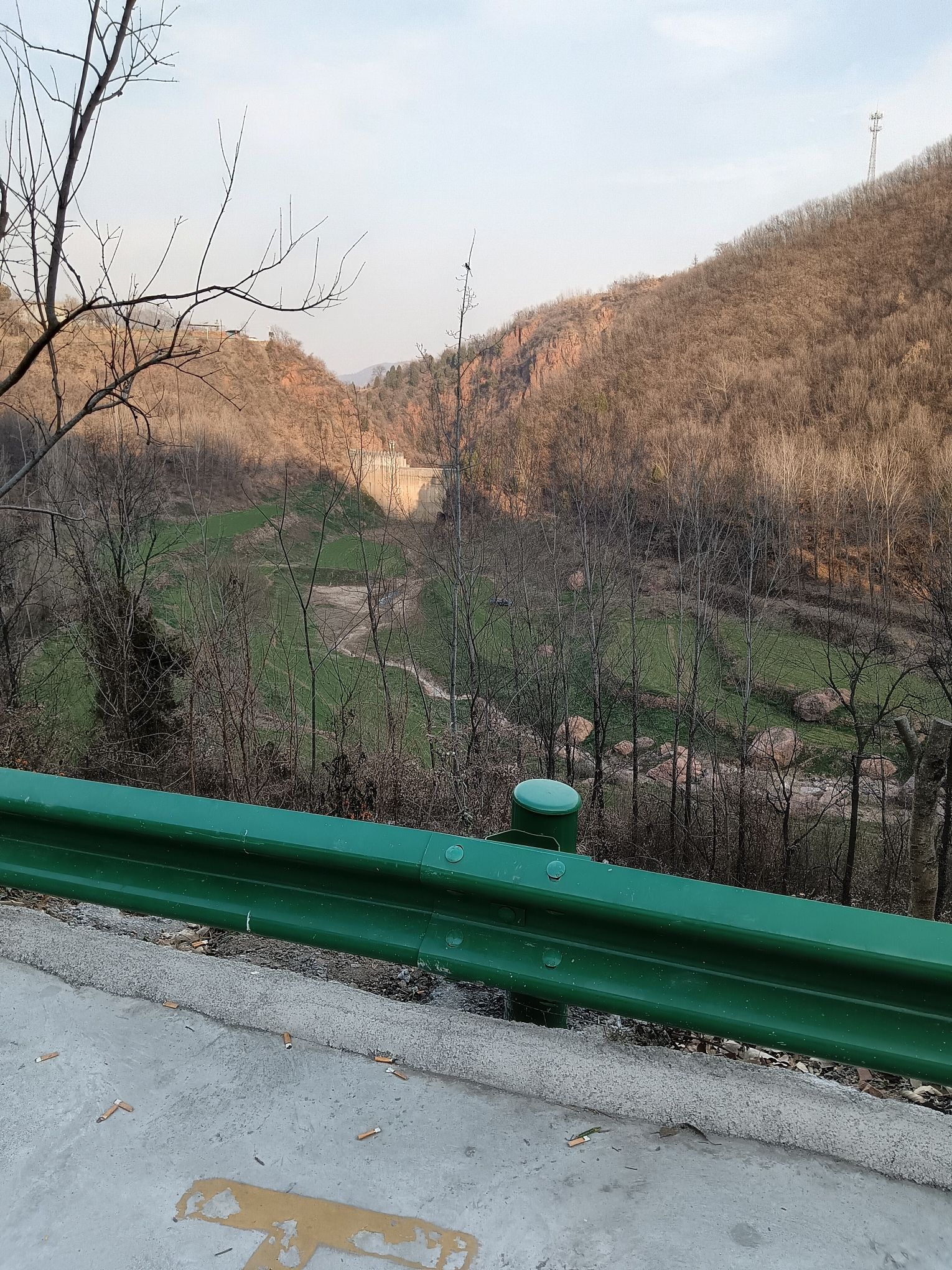 仙鹤湖旅行图片