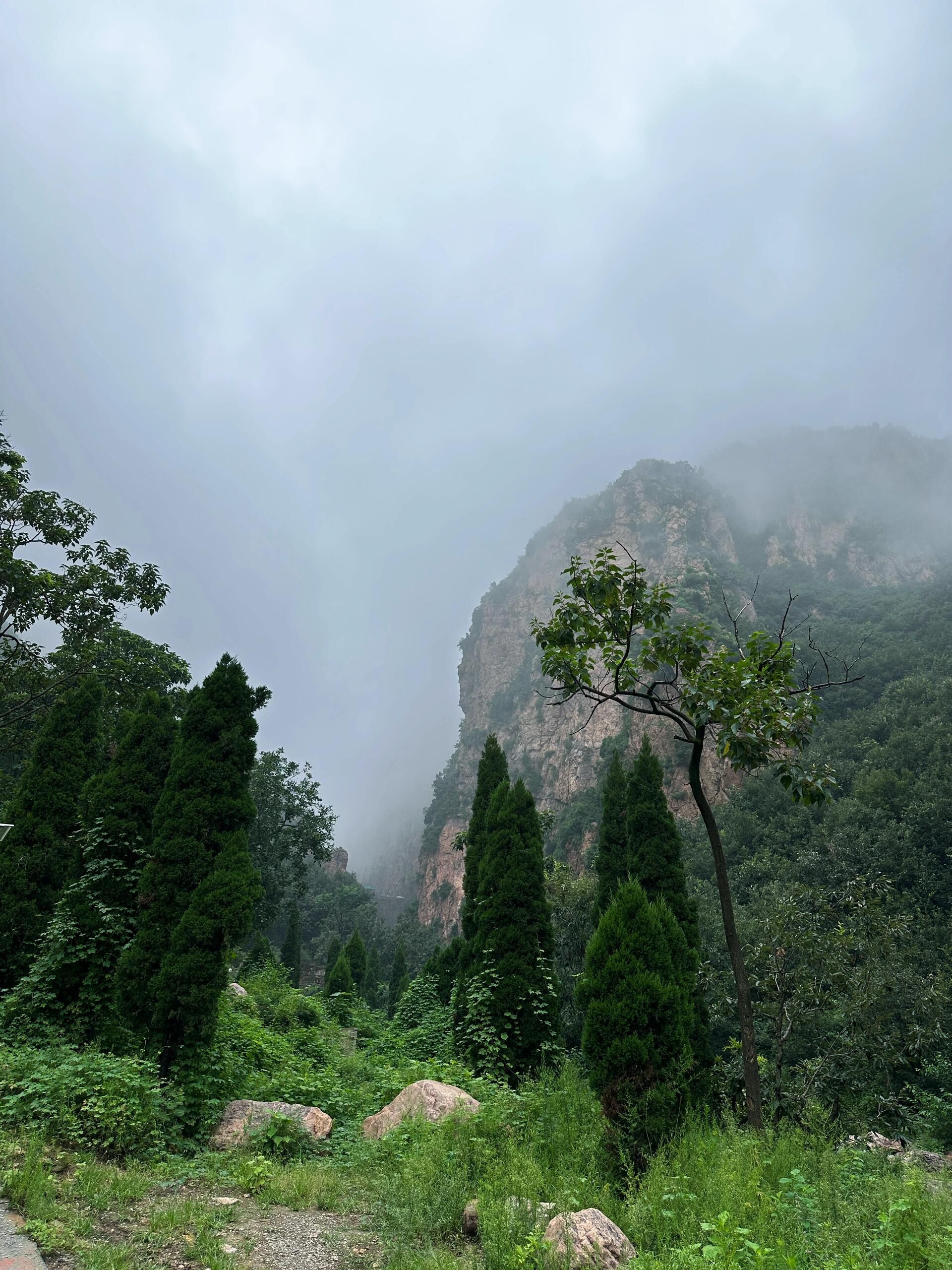 环翠峪风景名胜区旅行图片 3
