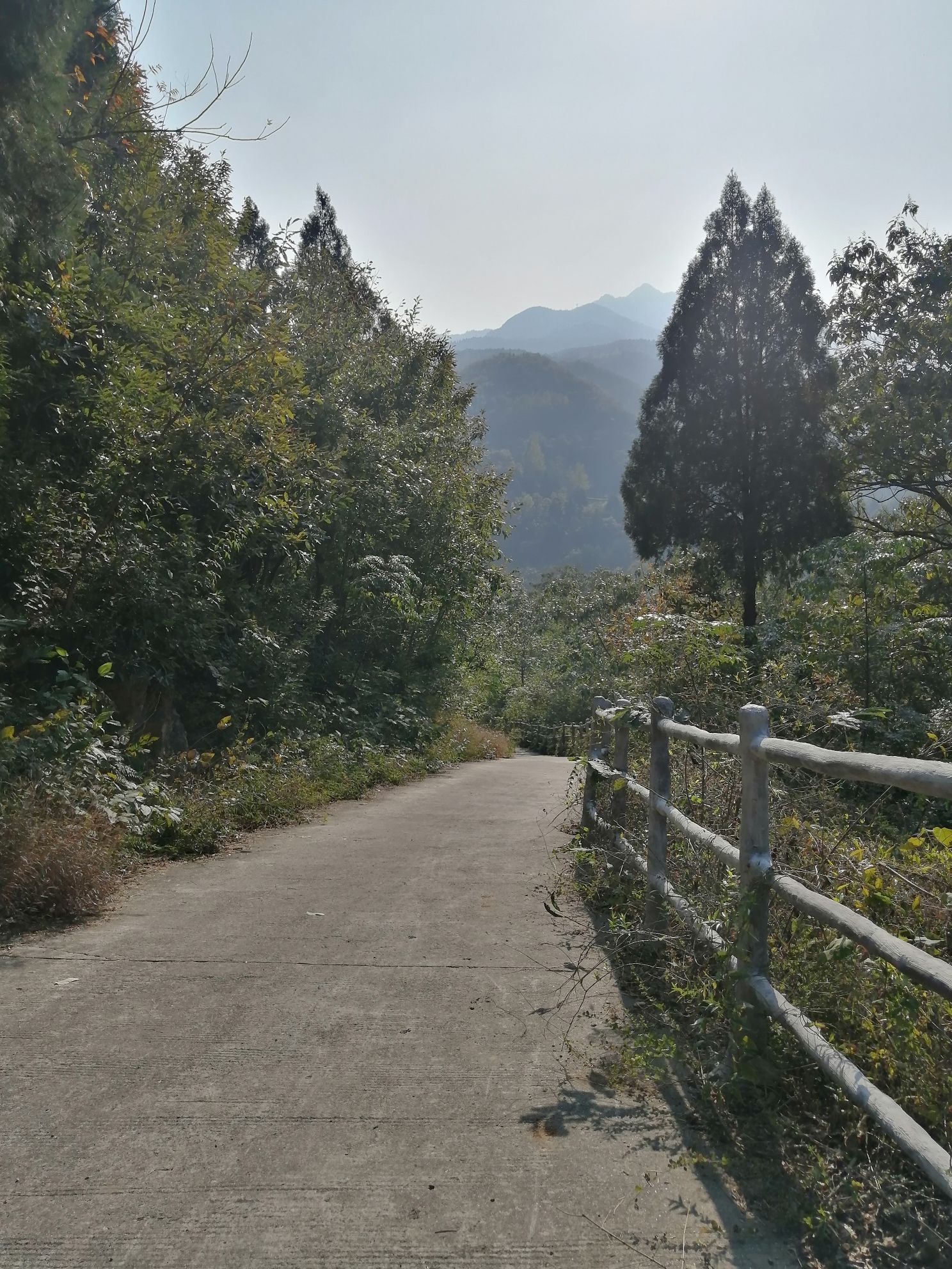 环翠峪风景名胜区旅行图片 1