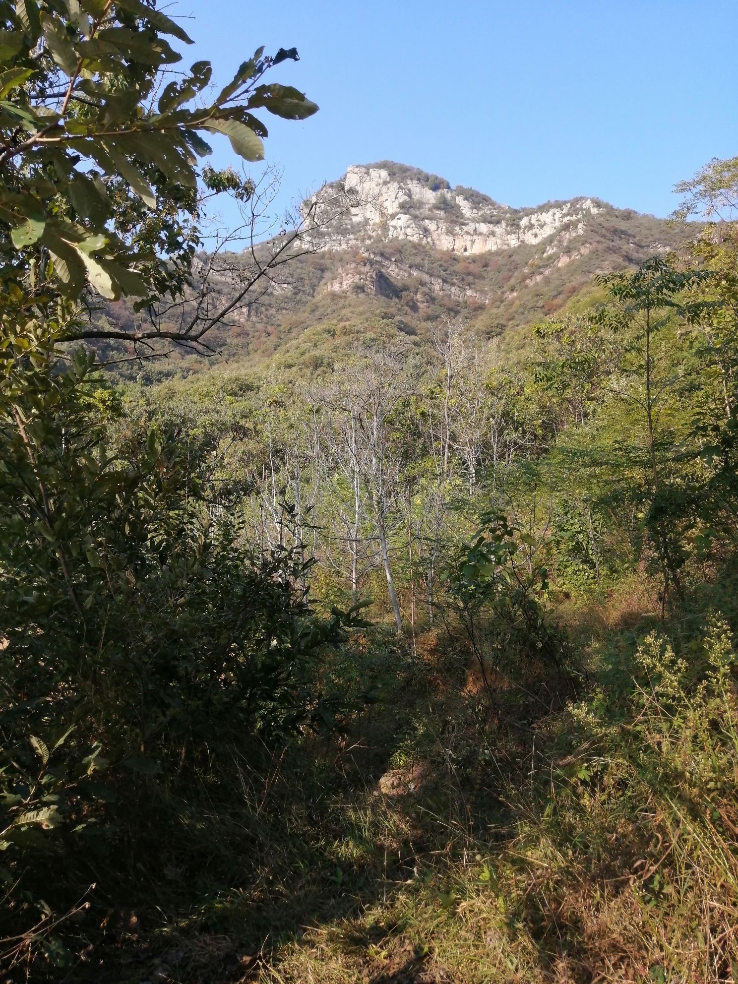 环翠峪风景名胜区旅行图片 3